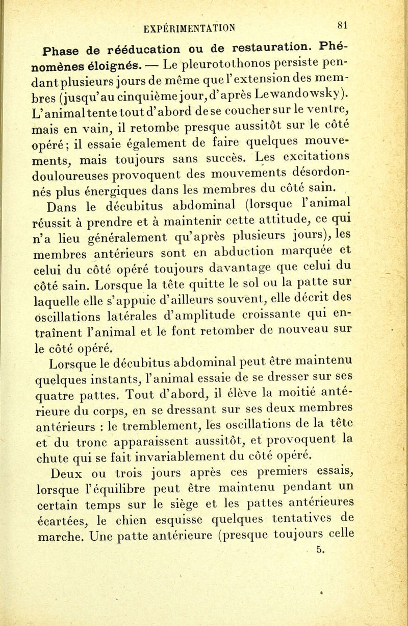 Phase de reeducation ou de restauration. Ph6- nomenes eloigner. — Le pleurotothonos persiste pen- dant plusieurs jours de meme quel'extensiondes mem- bres (jusqu'au cinquieme jour,d'apres Lewandowsky). L'animal tente tout d'abord dese coucher sur le ventre, mais en vain, il retombe presque aussitot sur le cote opere; il essaie egalement de faire quelques mouve- ments, mais toujours sans sueces. Les excitations douloureuses provoquent des mouvements desordon- nes plus energiques dans les membres du cote sain. Dans le decubitus abdominal (lorsque 1' animal reussit a prendre et a maintenir cette attitude, ce qui n'a lieu generalement qu'apres plusieurs jours), les membres anterieurs sont en abduction marquee et celui du cote opere toujours davantage que celui du cote sain. Lorsque la tete quitte le sol ou la patte sur laquelle elle s'appuie d'ailleurs souvent, elle decrit des oscillations laterales d'amplitude croissante qui en- trainent 1' animal et le font retomber de nouveau sur le cote opere. Lorsque le decubitus abdominal peut etre maintenu quelques instants, 1'animal essaie de se dresser sur ses quatre pattes. Tout d'abord, il eleve la moitie ante- rieure du corps, en se dressant sur ses deux membres anterieurs : le tremblement, les oscillations de la tete et du tronc apparaissent aussitot, et provoquent la chute qui se fait invariablement du cote opere. Deux ou trois jours apres ces premiers essais, lorsque l'equilibre peut etre maintenu pendant un certain temps sur le siege et les pattes anterieures ecartees, le chien esquisse quelques tentatives de marche. line patte anterieure (presque toujours celle