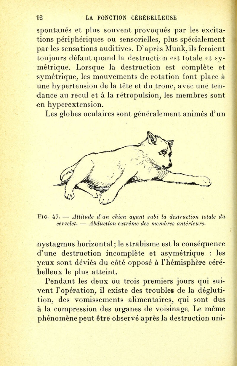 spontanes et plus souvent provoques par les excita- tions peripheriques ou sensorielles, plus specialement par les sensations auditives. D'apres Munk_,ils feraient toujours defaut quand la destruction est totale et sy- metrique. Lorsque la destruction est complete et symetrique, les mouvements de rotation font place a une hypertension de la tete et du trono, avec une ten- dance au recul et a la retropulsion, les membres sont en hyperextension. Les globes oculaires sont generalement animes d'un Fig. 47. — Attitude d'un chien ayant subi la destruction totale du cervelet. — Abduction extreme des membres anterieurs. nystagmus horizontal; le strabisme est la consequence d'une destruction incomplete et asymetrique : les yeux sont devies du cote oppose a 1'hemisphere cere- belleux le plus atteint. Pendant les deux ou trois premiers jours qui sui- vent 1' operation, il existe des troubles de la degluti- tion, des vomissements alimentaires, qui sont dus a la compression des organes de voisinage. Le meme phenomene peut etre observe apres la destruction uni-