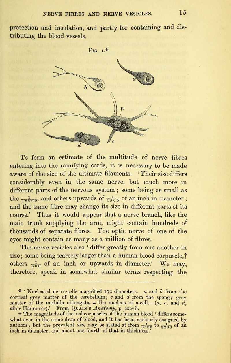 protection and insulation, and partly for containing and dis- tributing the blood vessels. Fm i * To form an estimate of the multitude of nerve fibres entering into the ramifying cords, it is necessary to be made aware of the size of the ultimate filaments. ' Their size differs considerably even in the same nerve, but much more in different parts of the nervous system; some being as small as the T2 wo? and others upwards of y^Vo °f an mcn m diameter ; and the same fibre may change its size in different parts of its course/ Thus it would appear that a nerve branch, like the main trunk supplying the arm, might contain hundreds of thousands of separate fibres. The optic nerve of one of the eyes might contain as many as a million of fibres. The nerve vesicles also ' differ greatly from one another in size; some being scarcely larger than a human blood corpuscle,f others °f an mcn or upwards in diameter/ We may, therefore, speak in somewhat similar terms respecting the * ' Nucleated nerve-cells magnified 170 diameters, a and b from the cortical grey matter of the cerebellum; c and d from the spongy grey matter of the medulla oblongata, n the nucleus of a cell,—{a, c, and d, after Hannover).' From Quain's Anatomy, p. cxcvii. f The magnitude of the red corpuscles of the human blood ' differs some- what even in the same drop of blood, and it has been variously assigned by authors; but the prevalent size may be stated at from ^ to 3J-Q0 of an inch in diameter, and about one-fourth of that in thickness.'