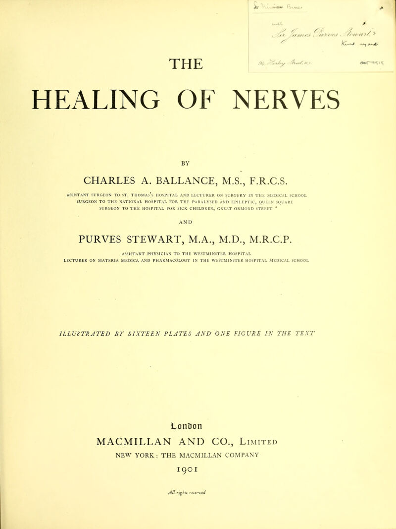 THE HEALING OF NERVES BY CHARLES A. BALLANCE, M.S., F.R.C.S. ASSISTANT SURGEON TO ST. THOMAs's HOSPITAL AND LECTURER ON SURGERY IN THE MEDICAL SCHOOL SURGEON TO THE NATIONAL HOSPITAL FOR THE PARALYSED AND EPILEPTIC, QUEEN SQUARE SURGEON TO THE HOSPITAL FOR SICK CHILDREN, GREAT ORMOND STREET * AND PURVES STEWART, M.A., M.D., M.R.C.P. ASSISTANT PHYSICIAN TO THE WESTMINSTER HOSPITAL LECTURER ON MATERIA MEDICA AND PHARMACOLOGY IN THE WESTMINSTER HOSPITAL MEDICAL SCHOOL .9//., ^^i*/^ . ^rry. «, /. ILLUSTRATED BT SIXTEEN PLATES AND ONE FIGURE IN THE TEXT ilonUon MACMILLAN AND CO., Limited NEW YORK : THE MACMILLAN COMPANY I9OI All rights reserved