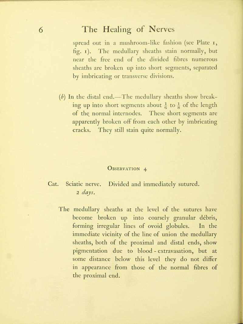 spread out in a mushroom-like fashion (see Plate i, fig. i). The medullary sheaths stain normally, but near the free end of the divided fibres numerous sheaths are broken up into short segments, separated by imbricating or transverse divisions. (b) In the distal end.—The medullary sheaths show break- ing up into short segments about ^- to ^ of the length of the normal internodes. These short segments are apparently broken off from each other by imbricating cracks. They still stain quite normally. Observation 4 at. Sciatic nerve. Divided and immediately sutured. 2 days. The medullary sheaths at the level of the sutures have become broken up into coarsely granular debris, forming irregular lines of ovoid globules. In the immediate vicinity of the line of union the medullary sheaths, both of the proximal and distal ends, show pigmentation due to blood - extravasation, but at some distance below this level they do not differ in appearance from those of the normal fibres of the proximal end.