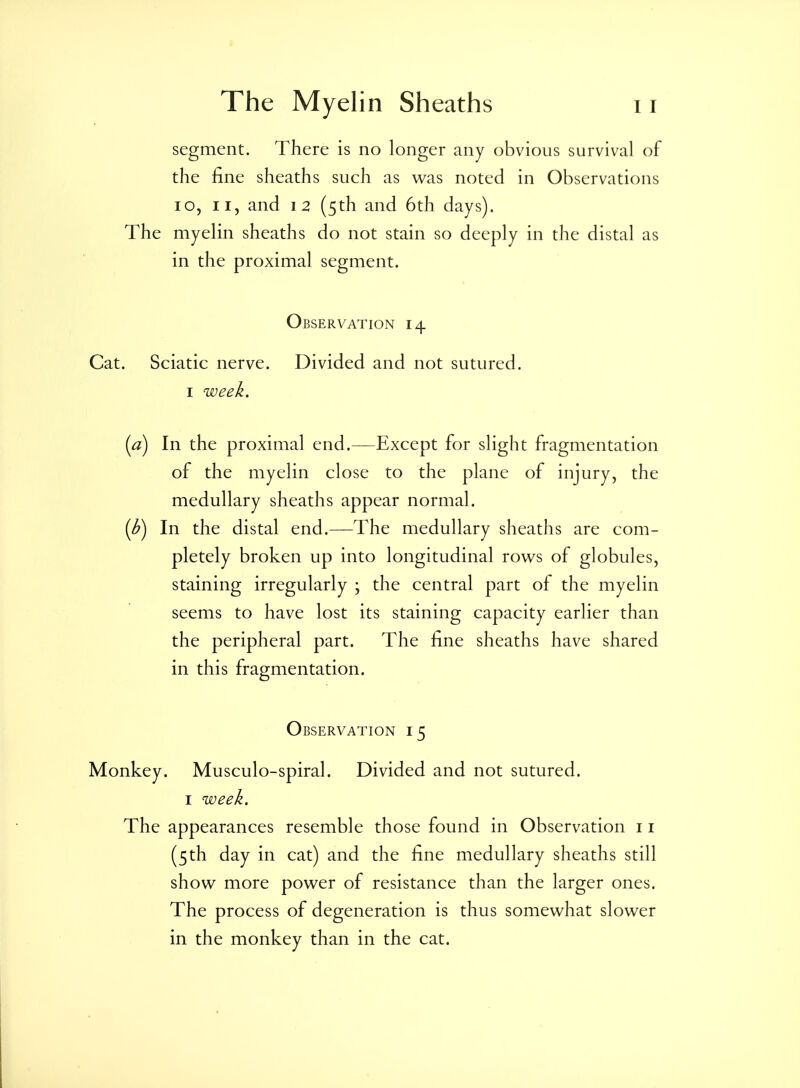 segment. There is no longer any obvious survival of the fine sheaths such as was noted in Observations lo, II, and 12 (5th and 6th days). The myelin sheaths do not stain so deeply in the distal as in the proximal segment. Observation 14 Cat. Sciatic nerve. Divided and not sutured. I week. {a) In the proximal end.—Except for slight fragmentation of the myelin close to the plane of injury, the medullary sheaths appear normal. (I)) In the distal end.—The medullary sheaths are com- pletely broken up into longitudinal rows of globules, staining irregularly ; the central part of the myelin seems to have lost its staining capacity earlier than the peripheral part. The line sheaths have shared in this fragmentation. Observation 15 Monkey. Musculo-spiral. Divided and not sutured. I week. The appearances resemble those found in Observation 11 (5th day in cat) and the fine medullary sheaths still show more power of resistance than the larger ones. The process of degeneration is thus somewhat slower in the monkey than in the cat.