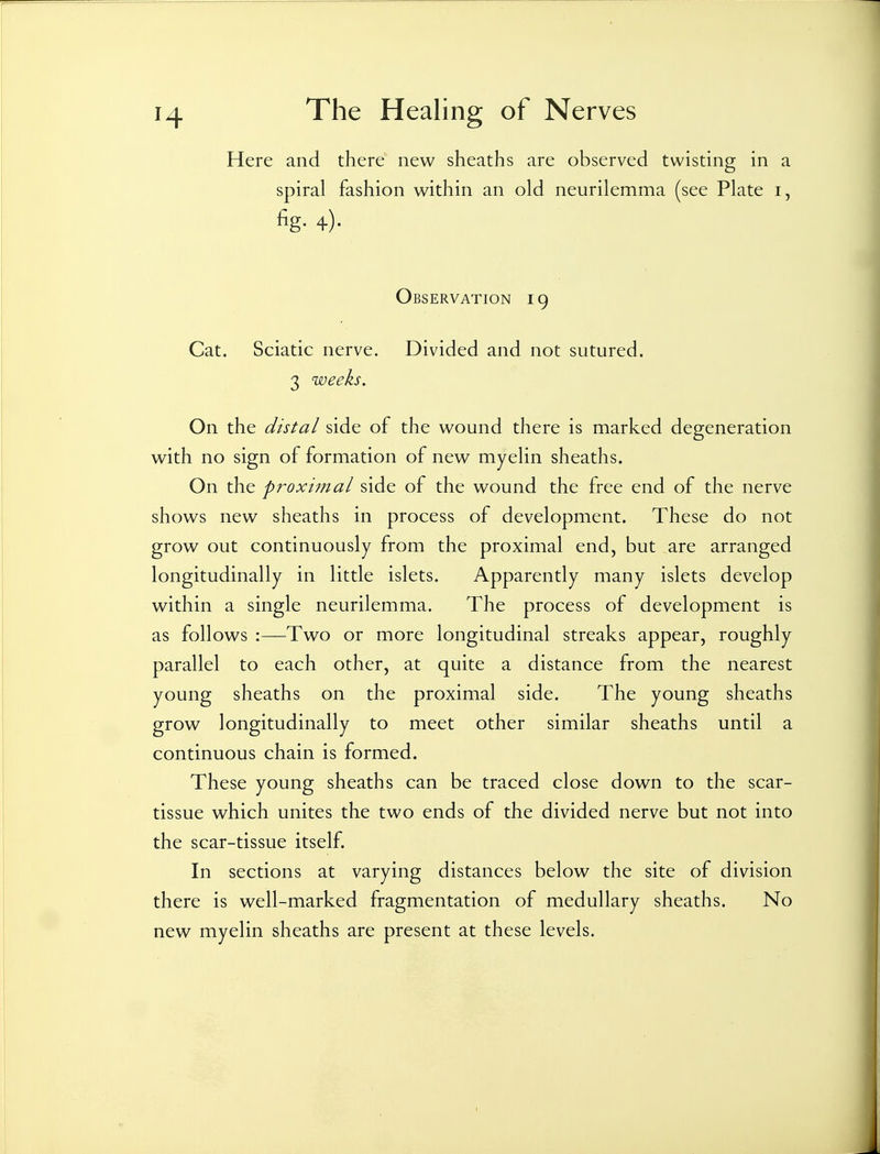 Here and there new sheaths are observed twisting in a spiral fashion within an old neurilemma (see Plate i, 4). Observation 19 Cat. Sciatic nerve. Divided and not sutured. 3 weeks. On the distal side of the wound there is marked degeneration with no sign of formation of new myelin sheaths. On the p7'oxi7nal side of the wound the free end of the nerve shows new sheaths in process of development. These do not grow out continuously from the proximal end, but are arranged longitudinally in little islets. Apparently many islets develop within a single neurilemma. The process of development is as follows :—Two or more longitudinal streaks appear, roughly parallel to each other, at quite a distance from the nearest young sheaths on the proximal side. The young sheaths grow longitudinally to meet other similar sheaths until a continuous chain is formed. These young sheaths can be traced close down to the scar- tissue which unites the two ends of the divided nerve but not into the scar-tissue itself. In sections at varying distances below the site of division there is well-marked fragmentation of medullary sheaths. No new myelin sheaths are present at these levels.