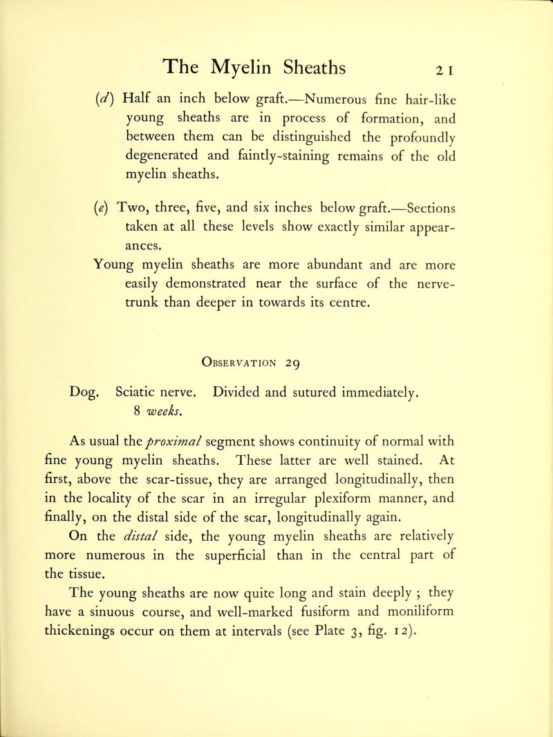 [d) Half an inch below graft.—Numerous fine hair-like young sheaths are in process of formation, and between them can be distinguished the profoundly degenerated and faintly-staining remains of the old myelin sheaths. [e) Two, three, five, and six inches below graft.—Sections taken at all these levels show exactly similar appear- ances. Young myelin sheaths are more abundant and are more easily demonstrated near the surface of the nerve- trunk than deeper in towards its centre. Observation 29 Dog. Sciatic nerve. Divided and sutured immediately. 8 weeks. As usual the proximal segment shows continuity of normal with fine young myelin sheaths. These latter are well stained. At first, above the scar-tissue, they are arranged longitudinally, then in the locality of the scar in an irregular plexiform manner, and finally, on the distal side of the scar, longitudinally again. On the distal side, the young myelin sheaths are relatively more numerous in the superficial than in the central part of the tissue. The young sheaths are now quite long and stain deeply ; they have a sinuous course, and well-marked fusiform and moniliform thickenings occur on them at intervals (see Plate 3, fig. 12).