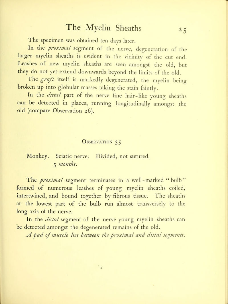 The specimen was obtained ten days later. In the proxi?nal segment of the nerve, degeneration of the larger myelin sheaths is evident in the vicinity of the cut end. Leashes of new myelin sheaths are seen amongst the old, but they do not yet extend downwards beyond the limits of the old. The graft itself is markedly degenerated, the myelin being broken up into globular masses taking the stain faintly. In the distal part of the nerve fine hair-like young sheaths can be detected in places, running longitudinally amongst the old (compare Observation 26). Observation 35 Monkey. Sciatic nerve. Divided, not sutured. 5 mofit/is. The proximal segment terminates in a well-marked bulb formed of numerous leashes of young myelin sheaths coiled, intertwined, and bound together by fibrous tissue. The sheaths at the lowest part of the bulb run almost transversely to the long axis of the nerve. In the distal segment of the nerve young myelin sheaths can be detected amongst the degenerated remains of the old. A pad of muscle lies between the proximal a7id distal segments.