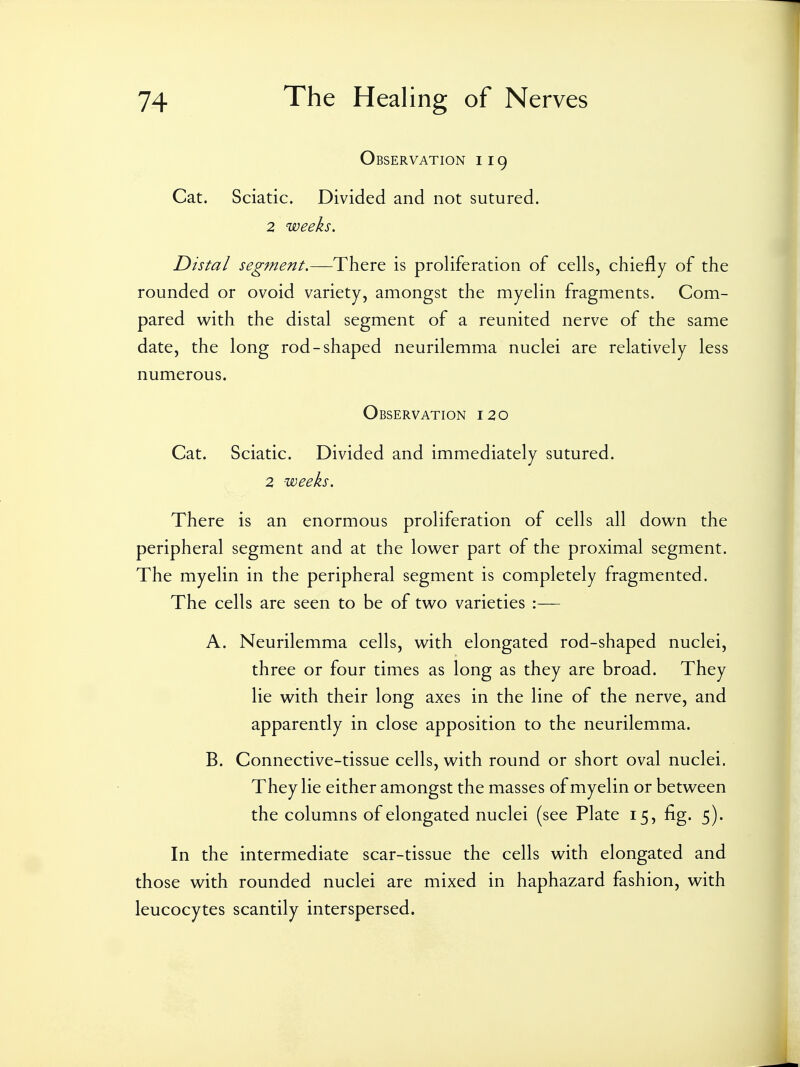 Observation 119 Cat. Sciatic. Divided and not sutured. 2 weeks. Distal segment.—There is proliferation of cells, chiefly of the rounded or ovoid variety, amongst the myelin fragments. Com- pared with the distal segment of a reunited nerve of the same date, the long rod-shaped neurilemma nuclei are relatively less numerous. Observation 120 Cat. Sciatic. Divided and immediately sutured. 2 weeks. There is an enormous proliferation of cells all down the peripheral segment and at the lower part of the proximal segment. The myelin in the peripheral segment is completely fragmented. The cells are seen to be of two varieties :— A. Neurilemma cells, with elongated rod-shaped nuclei, three or four times as long as they are broad. They lie with their long axes in the line of the nerve, and apparently in close apposition to the neurilemma. B. Connective-tissue cells, with round or short oval nuclei. They lie either amongst the masses of myelin or between the columns of elongated nuclei (see Plate 15, fig. 5). In the intermediate scar-tissue the cells with elongated and those with rounded nuclei are mixed in haphazard fashion, with leucocytes scantily interspersed.
