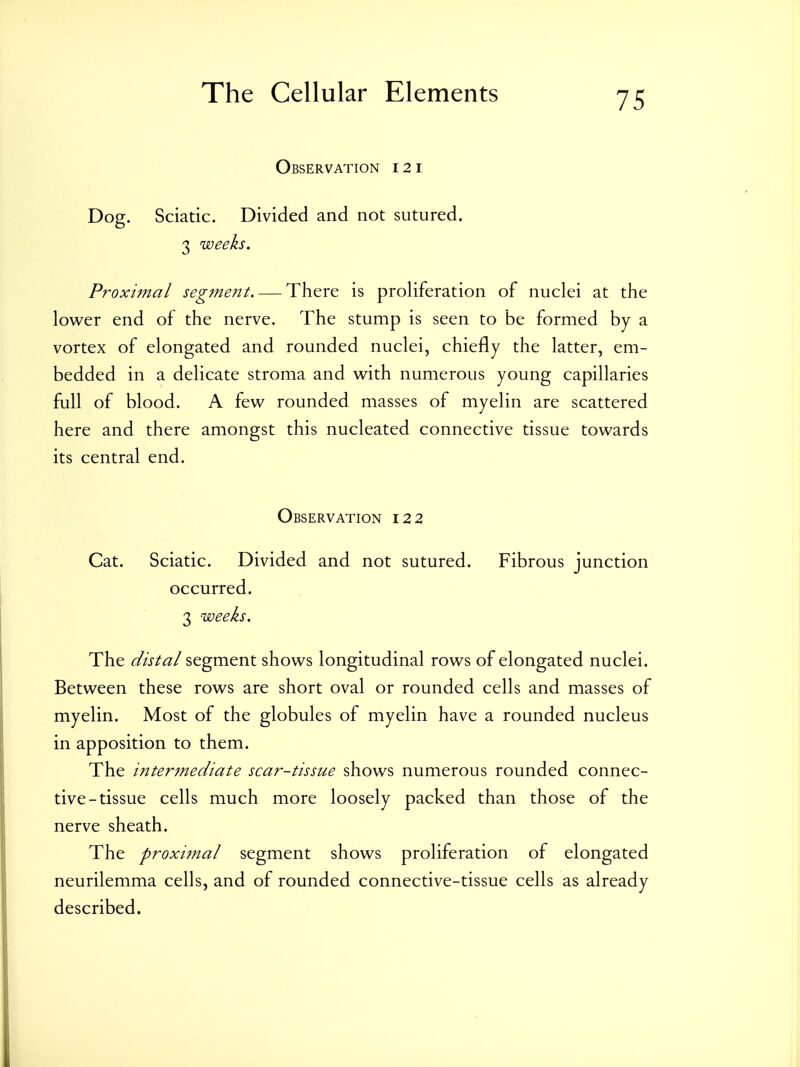 Observation 121 Dog. Sciatic. Divided and not sutured. 3 weeks. Proximal segment. —There is proliferation of nuclei at the lower end of the nerve. The stump is seen to be formed by a vortex of elongated and rounded nuclei, chiefly the latter, em- bedded in a delicate stroma and with numerous young capillaries full of blood. A few rounded masses of myelin are scattered here and there amongst this nucleated connective tissue towards its central end. Observation 122 Cat. Sciatic. Divided and not sutured. Fibrous junction occurred. 3 weeks. The distal segment shows longitudinal rows of elongated nuclei. Between these rows are short oval or rounded cells and masses of myelin. Most of the globules of myelin have a rounded nucleus in apposition to them. The intermediate scar-tissue shows numerous rounded connec- tive-tissue cells much more loosely packed than those of the nerve sheath. The proxijnal segment shows proliferation of elongated neurilemma cells, and of rounded connective-tissue cells as already described.