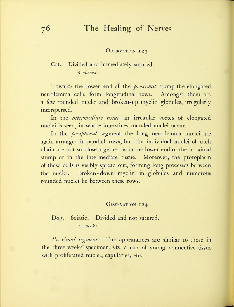 Observation 123 Cat. Divided and immediately sutured. 3 weeks. Towards the lower end of the proximal stump the elongated neurilemma cells form longitudinal rows. Amongst them are a few rounded nuclei and broken-up myelin globules, irregularly interspersed. In the intermediate tissue an irregular vortex of elongated nuclei is seen, in whose interstices rounded nuclei occur. In the peripheral segment the long neurilemma nuclei are again arranged in parallel rows, but the individual nuclei of each chain are not so close together as in the lower end of the proximal stump or in the intermediate tissue. Moreover, the protoplasm of these cells is visibly spread out, forming long processes between the nuclei. Broken-down myelin in globules and numerous rounded nuclei lie between these rows. Observation 124 Dog. Sciatic. Divided and not sutured. 4 weeks. Proximal segmejtt.—The appearances are similar to those in the three weeks' specimen, viz. a cap of young connective tissue with proliferated nuclei, capillaries, etc.