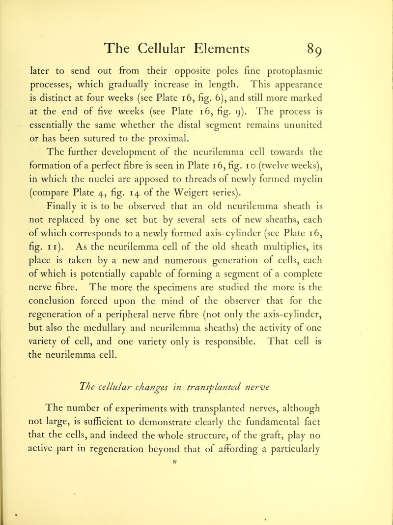later to send out from their opposite poles fine protoplasmic processes, which gradually increase in length. This appearance is distinct at four weeks (see Plate i6, fig. 6), and still more marked at the end of five weeks (see Plate i6, fig. 9). The process is essentially the same whether the distal segment remains ununited or has been sutured to the proximal. The further development of the neurilemma cell towards the formation of a perfect fibre is seen in Plate 16, fig. 10 (twelve weeks), in which the nuclei are apposed to threads of newly formed myelin (compare Plate 4, fig. 14 of the Weigert series). Finally it is to be observed that an old neurilemma sheath is not replaced by one set but by several sets of new sheaths, each of which corresponds to a newly formed axis-cylinder (see Plate 16, fig. 11). As the neurilemma cell of the old sheath multiplies, its place is taken by a new and numerous generation of cells, each of which is potentially capable of forming a segment of a complete nerve fibre. The more the specimens are studied the more is the conclusion forced upon the mind of the observer that for the regeneration of a peripheral nerve fibre (not only the axis-cylinder, but also the medullary and neurilemma sheaths) the activity of one variety of cell, and one variety only is responsible. That cell is the neurilemma cell. The cellular changes in transplanted nerve The number of experiments with transplanted nerves, although not large , is sufficient to demonstrate clearly the fundamental fact that the cells, and indeed the whole structure, of the graft, play no active part in regeneration beyond that of affording a particularly N