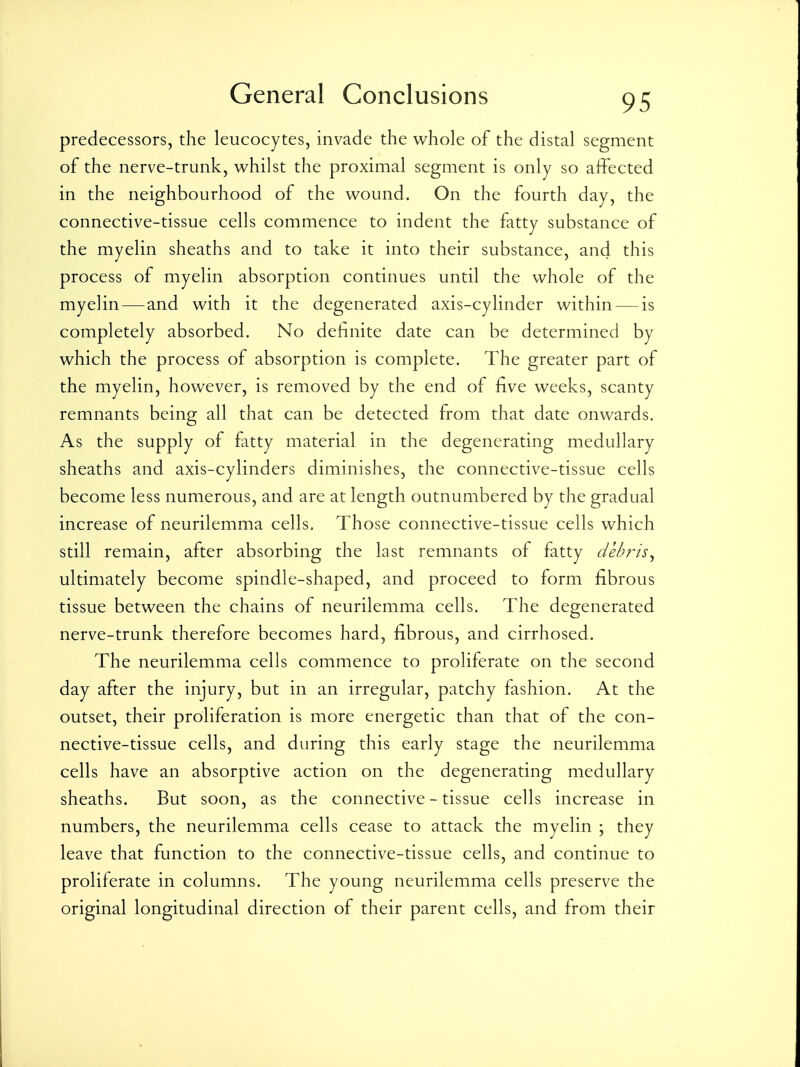 predecessors, the leucocytes, invade the whole of the distal segment of the nerve-trunk, whilst the proximal segment is only so affected in the neighbourhood of the wound. On the fourth day, the connective-tissue cells commence to indent the fatty substance of the myelin sheaths and to take it into their substance, and this process of myelin absorption continues until the whole of the myelin—and with it the degenerated axis-cylinder within — is completely absorbed. No dehnite date can be determined by which the process of absorption is complete. The greater part of the myelin, however, is removed by the end of five weeks, scanty remnants being all that can be detected from that date onwards. As the supply of fatty material in the degenerating medullary sheaths and axis-cylinders diminishes, the connective-tissue cells become less numerous, and are at length outnumbered by the gradual increase of neurilemma cells. Those connective-tissue cells which still remain, after absorbing the last remnants of fatty debris^ ultimately become spindle-shaped, and proceed to form fibrous tissue between the chains of neurilemma cells. The degenerated nerve-trunk therefore becomes hard, fibrous, and cirrhosed. The neurilemma cells commence to proliferate on the second day after the injury, but in an irregular, patchy fashion. At the outset, their proliferation is more energetic than that of the con- nective-tissue cells, and during this early stage the neurilemma cells have an absorptive action on the degenerating medullary sheaths. But soon, as the connective - tissue cells increase in numbers, the neurilemma cells cease to attack the myelin ; they leave that function to the connective-tissue cells, and continue to proliferate in columns. The young neurilemma cells preserve the original longitudinal direction of their parent cells, and from their