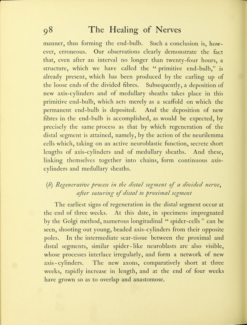 manner, thus forming the end-bulb. Such a conclusion is, how- ever, erroneous. Our observations clearly demonstrate the fact that, even after an interval no longer than twenty-four hours, a structure, which we have called the  primitive end-bulb, is already present, which has been produced by the curling up of the loose ends of the divided fibres. Subsequently, a deposition of new axis-cylinders and of medullary sheaths takes place in this primitive end-bulb, which acts merely as a scaffold on which the permanent end-bulb is deposited. And the deposition of new fibres in the end-bulb is accomplished, as would be expected, by precisely the same process as that by which regeneration of the distal segment is attained, namely, by the action of the neurilemma cells which, taking on an active neuroblastic function, secrete short lengths of axis-cylinders and of medullary sheaths. And these, linking themselves together into chains, form continuous axis- cylinders and medullary sheaths. (J?) Regenerative process in the distal segment of a divided nerve^ after suturi7ig of distal to proximal segment The earliest signs of regeneration in the distal segment occur at the end of three weeks. At this date, in specimens impregnated by the Golgi method, numerous longitudinal  spider-cells  can be seen, shooting out young, beaded axis-cylinders from their opposite poles. In the intermediate scar-tissue between the proximal and distal segments, similar spider-like neuroblasts are also visible, whose processes interlace irregularly, and form a network of new axis-cylinders. The new axons, comparatively short at three weeks, rapidly increase in length, and at the end of four weeks have grown so as to overlap and anastomose.