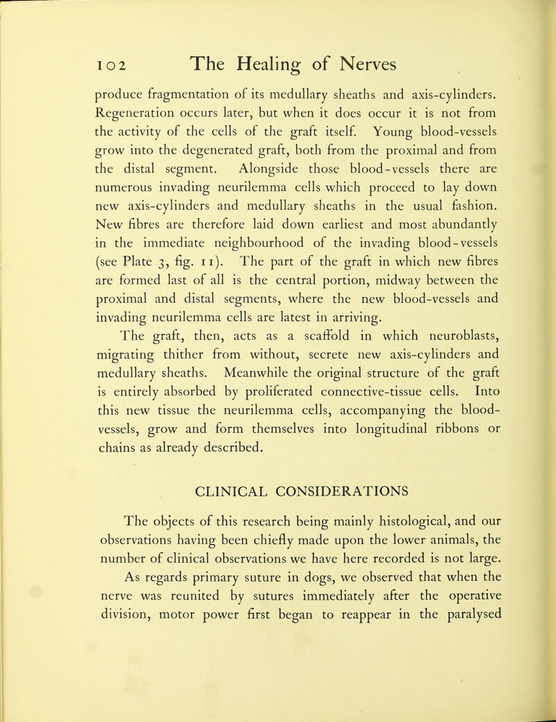 produce fragmentation of its medullary sheaths and axis-cylinders. Regeneration occurs later, but when it does occur it is not from the activity of the cells of the graft itself. Young blood-vessels grow into the degenerated graft, both from the proximal and from the distal segment. Alongside those blood-vessels there are numerous invading neurilemma cells which proceed to lay down new axis-cylinders and medullary sheaths in the usual fashion. New fibres are therefore laid down earliest and most abundantly in the immediate neighbourhood of the invading blood-vessels (see Plate 3, fig. 11). The part of the graft in which new fibres are formed last of all is the central portion, midway between the proximal and distal segments, where the new blood-vessels and invading neurilemma cells are latest in arriving. The graft, then, acts as a scaffold in which neuroblasts, migrating thither from without, secrete new axis-cylinders and medullary sheaths. Meanwhile the original structure of the graft is entirely absorbed by proliferated connective-tissue cells. Into this new tissue the neurilemma cells, accompanying the blood- vessels, grow and form themselves into longitudinal ribbons or chains as already described. CLINICAL CONSIDERATIONS The objects of this research being mainly histological, and our observations having been chiefly made upon the lower animals, the number of clinical observations we have here recorded is not large. As regards primary suture in dogs, we observed that when the nerve was reunited by sutures immediately after the operative division, motor power first began to reappear in the paralysed