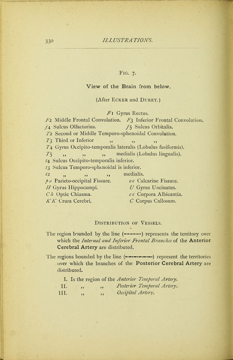 Fig. 7. View of the Brain from below. (After Ecker and Duret.) Fi Gyrus Rectus. Fi Middle Frontal Convolution. Ft, Inferior Frontal Convolution. f\ Sulcus Olfactorius. f$ Sulcus Orbitalis. 72 Second or Middle Temporo-sphenoidal Convolution. 7'3 Third or Inferior „ „ 74 Gyrus Occipito-temporalis lateralis (Lobulus fusiformis). 7'5 ,, „ medialis (Lobulus lingualis). t\ Sulcus Occipito-temporalis inferior. t$ Sulcus Temporo-sphenoidal is inferior. t2 „ ,, medialis. p 0 Parieto-occipital Fissure. 0 c Calcarine Fissure. II Gyrus Hippocampi. U Gyrus Uncinatus. C h Optic Chiasma, cc Corpora Albicantia. KK Crura Cerebri. C Corpus Callosum. Distribution of Vessels. The region bounded by the line ( ) represents the territory over which the Internal and Inferior Frontal Branches of the Anterior Cerebral Artery are distributed. The regions bounded by the line (——.—-—-) represent the territories over which the branches of the Posterior Cerebral Artery are distributed. I. Is the region of the Anterior Temporal Artery. II. Posterior Temporal Artery. III. ,, Occipital Artery.