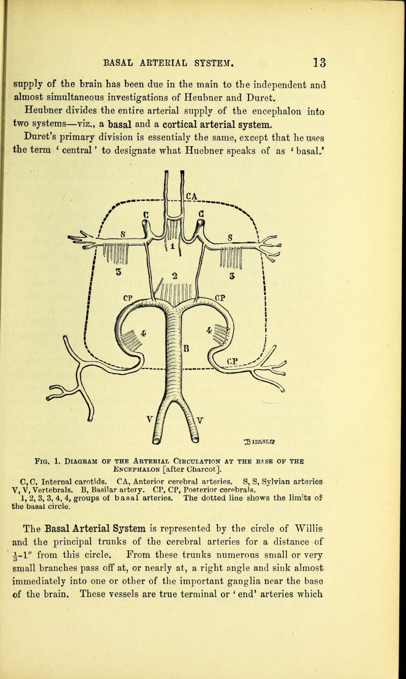 supply of the brain has been due in the main to the independent and almost simultaneous investigations of Heubner and Duret. Heubner divides the entire arterial supply of the encephalon into two systems—viz., a basal and a cortical arterial system. Duret's primary division is essentialy the same, except that he uses the term 1 central' to designate what Huebner speaks of as 1 basaL' CA Fig. 1. Diagram of the ArteriAl Circulation at the base of the Encephalon [after Charcot]. C,C, Internal carotids. CA, Anterior cerebral arteries. S, S, Sylvian arteries4 V, V, Vertebrals. B, Basilar artery. CP, CP, Posterior cerebrals. 1, 2, 3, 3, 4, 4, groups of basal arteries. The dotted line shows the limits of the basal circle, The Basal Arterial System is represented by the circle of Willis- and the principal trunks of the cerebral arteries for a distance of from this circle. From these trunks numerous small or very small branches pass off at, or nearly at, a right angle and sink almost immediately into one or other of the important ganglia near the base of the brain. These vessels are true terminal or ' end' arteries which