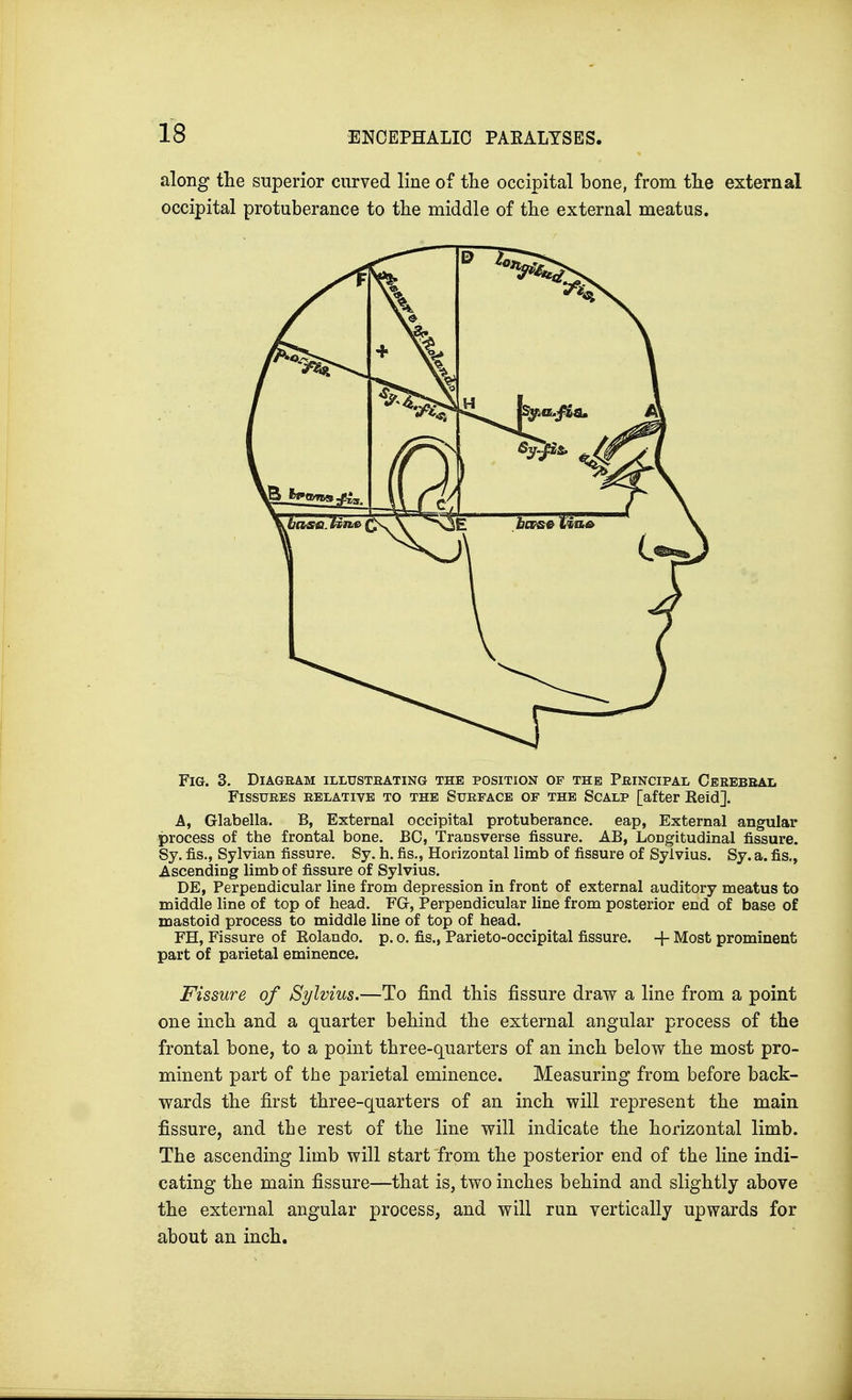 along the superior curved line of the occipital bone, from the external occipital protuberance to the middle of the external meatus. Fig. 3. Diagram illustrating the position of the Principal Cerebral Fissures relative to the Surface of the Scalp [after Reid]. A, Glabella. B, External occipital protuberance, eap, External angular process of the frontal bone. BC, Transverse fissure. AB, Longitudinal fissure. Sy. fis., Sylvian fissure. Sy. h. fis., Horizontal limb of fissure of Sylvius. Sy. a. fis., Ascending limb of fissure of Sylvius. DE, Perpendicular line from depression in front of external auditory meatus to middle line of top of head. FGr, Perpendicular line from posterior end of base of mastoid process to middle line of top of head. FH, Fissure of Rolando, p. o. fis., Parieto-occipital fissure. + Most prominent part of parietal eminence. Fissure of Sylvius.—To find this fissure draw a line from a point one inch and a quarter behind the external angular process of the frontal bone, to a point three-quarters of an inch below the most pro- minent part of the parietal eminence. Measuring from before back- wards the first three-quarters of an inch will represent the main fissure, and the rest of the line will indicate the horizontal limb. The ascending limb will start from the posterior end of the line indi- cating the main fissure—that is, two inches behind and slightly above the external angular process, and will run vertically upwards for about an inch.