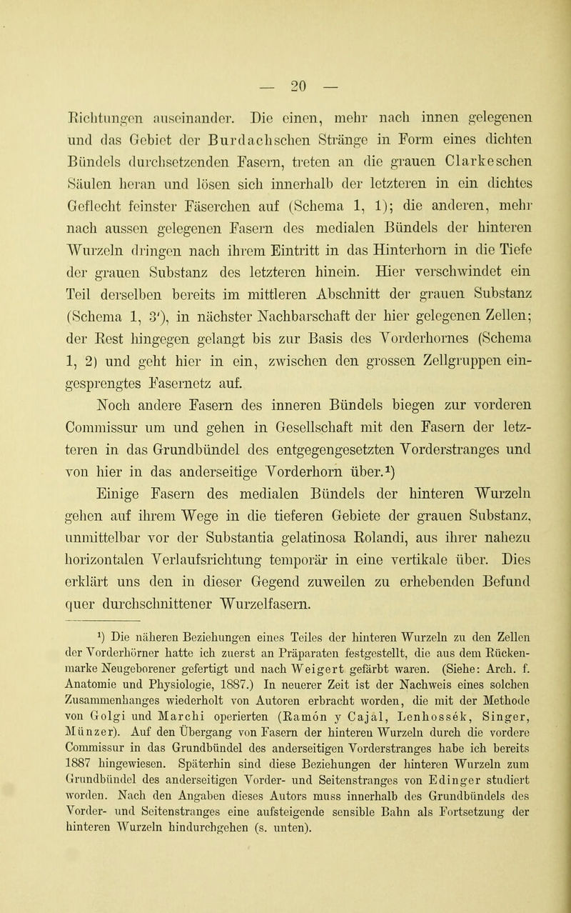 Eiclitun,^'on anfieinander. Die einen, mehr nach innen gelegenen und (las Gebiot der Burdaclischen Strange in Form eines dichten Biindels durcbsetzenden Fasern, treten an die grauen Clarkeschen Siiulen heran und losen sich innerhalb der letzteren in ein dicbtes Geflecht feinster Fasercben auf (Scbema 1, 1); die anderen, mebr nacb aussen gelegenen Fasern des medialen Biindels der binteren Wurzeln dringen nacb ibrem Eintritt in das Hinterborn in die Tiefe der grauen Substanz des letzteren binein. Hier verscbwindet ein Teil derselben bereits im mittleren Abscbnitt der grauen Substanz (Scbema 1, 3'), in nacbster Nacbbarscbaft der bier gelegenen Zellen; der Best Inngegen gelangt bis zur Basis des Yorderbornes (Scbema 1, 2) und gebt bier in ein, zwiscben den grossen Zellgruppen ein- gesprengtes Fasernetz auf. ISTocb andere Fasern des inneren Biindels biegen zur yorderen Commissur um und geben in Gesellscbaft mit den Fasern der letz- teren in das Grundbiindel des entgegengesetzten Yorderstranges und von bier in das anderseitige Yorderborn liber. ^) Einige Fasern des medialen Biindels der binteren Wurzeln geben auf ibrem Wege in die tieferen Gebiete der grauen Substanz, unmittelbar vor der Substantia gelatinosa Rolandi, aus ibrer naliezu borizontalen Yerlaufsricbtung temporar in eine vertikale liber. Dies erklart uns den in dieser Gegend zuweilen zu erbebenden Befund quer durcbscbnittener Wurzelfasern. ^) Die naheren Beziehungen eines Teiles der binteren Wurzeln zu den Zellen der Vorderhorner hatte ich zuerst an Praparaten festgestellt, die aus dem Eiicken- raarke Neugeborener gefertigt und nach Weigert gefarbt waren. (Sieke: Arch. f. Anatomie und Physiologie, 1887.) In neuerer Zeit ist der Nachweis eines solchen Zusammenbanges wiederbolt von Autoren erbracht worden, die mit der Methodc von Golgi und Marcbi operierten (Eamon y Cajal, Lenkossek, Singer, Miinzer). Auf den Ubergang von Fasern der binteren Wurzeln durch die vordere Commissur in das Grundbiindel des anderseitigen Yorderstranges babe icb bereits 1887 bingewiesen. Spaterbin sind diese Beziehungen der binteren Wurzeln zum Grundbiindel des anderseitigen Vorder- und Seitenstranges von Edinger studiert worden. Nacb den Angaben dieses Autors muss innerhalb des Grundbiindels des Vorder- und Seitenstranges eine aufsteigende sensible Bahn als Fortsetzung der hinteren Wurzeln hindurchgehen (s. unten).