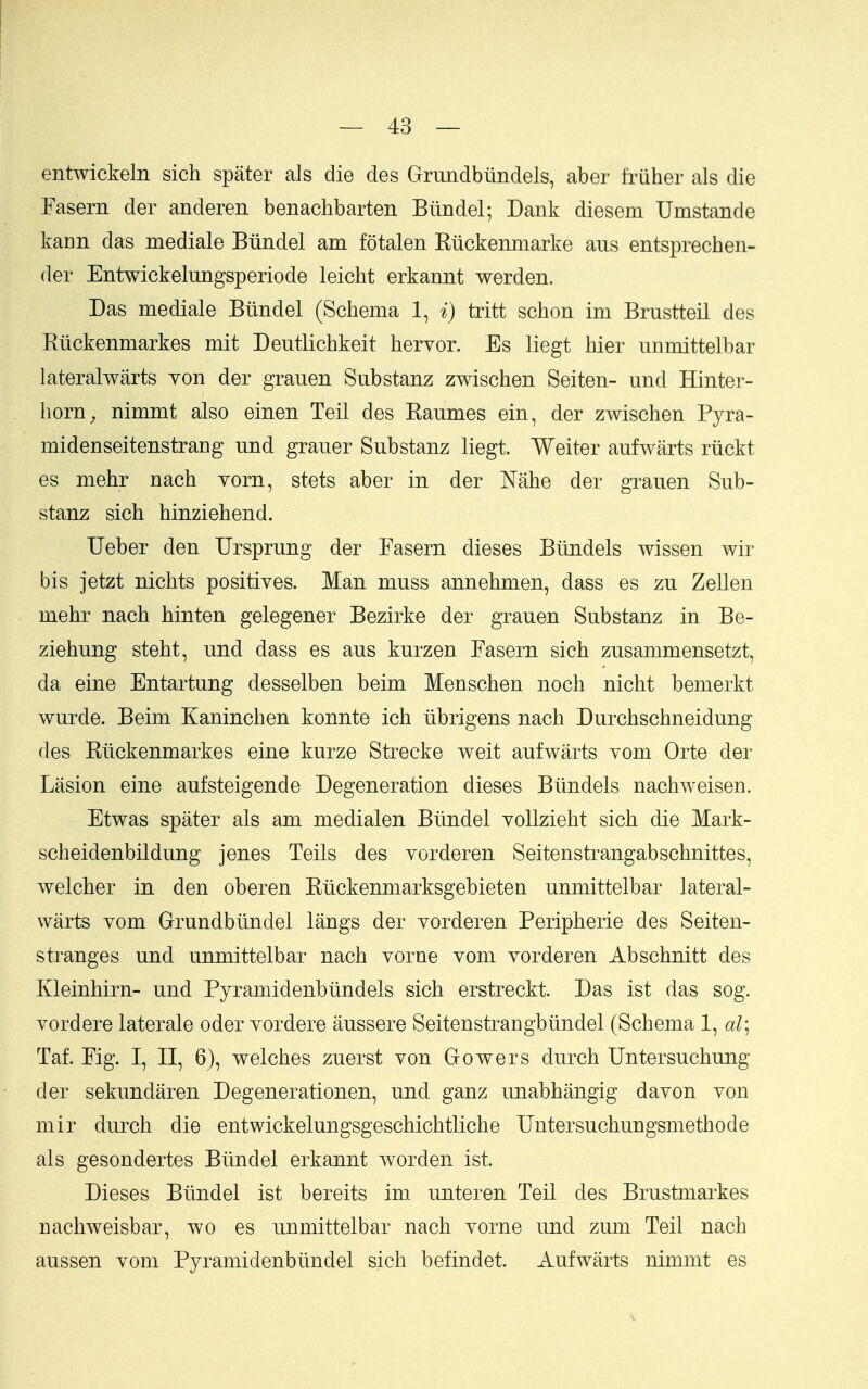 entwickeln sich spater als die des Grundbiindels, aber friiher als die Fasern der anderen benachbarten Biindel; Dank diesem Umstande kann das mediale Biindel am fotalen Riickenniarke aus entsprechen- der Entwickelimgsperiode leicht erkannt werden. Das mediale Biindel (Schema 1, i) tritt schon im Brustteil des Riickenmarkes mit Deutlichkeit hervor. Es liegt hier unmittelbar lateralwarts von der grauen Substanz zwischen Seiten- und Hinter- liorn^ nimmt also einen Teil des Raumes ein, der zwischen Pyra- midenseitenstrang und grauer Substanz liegt. Weiter aufwarts riickt es mehr nach vorn, stets aber in der Nahe der grauen Sub- stanz sich hinziehend. Ueber den Ursprung der Fasern dieses Biindels wissen wir bis jetzt nichts positives. Man muss annehmen, dass es zu Zellen mehr nach hinten gelegener Bezirke der grauen Substanz in Be- ziehung steht, und dass es aus kurzen Fasern sich zusammensetzt, da eine Entartung desselben beim Menschen noch nicht bemerkt wurde. Beim Kaninchen konnte ich iibrigens nach Durchschneidung des Riickenmarkes eine kurze Strecke weit aufwarts vom Orte der Lasion eine aufsteigende Degeneration dieses Biindels nachweisen. Etwas spater als am medialen Biindel voUzieht sich die Mark- scheidenbildung jenes Toils des vorderen Seitenstrangabschnittes, welcher in den oberen Rtickenmarksgebieten unmittelbar lateral- warts vom Grundbiindel langs der vorderen Peripherie des Seiten- stranges und unmittelbar nach vorne vom vorderen Abschnitt des Ivleinhirn- und Pyramidenbiindels sich erstreckt. Das ist das sog. vordere laterale oder vordere aussere Seitenstrangbiindel (Schema 1, al] Taf. Fig. I, II, 6), welches zuerst von Growers durch Untersuchung der sekundaren Degenerationen, und ganz imabhangig davon von mir durch die entwickelungsgeschichtliche Untersuchungsniethode als gesondertes Biindel erkannt worden ist Dieses Biindel ist bereits im unteren Teil des Brustmarkes nachweisbar, wo es unmittelbar nach vorne und zum Teil nach aussen vom Pyramidenbiindel sich befindet. Aufwarts nimmt es