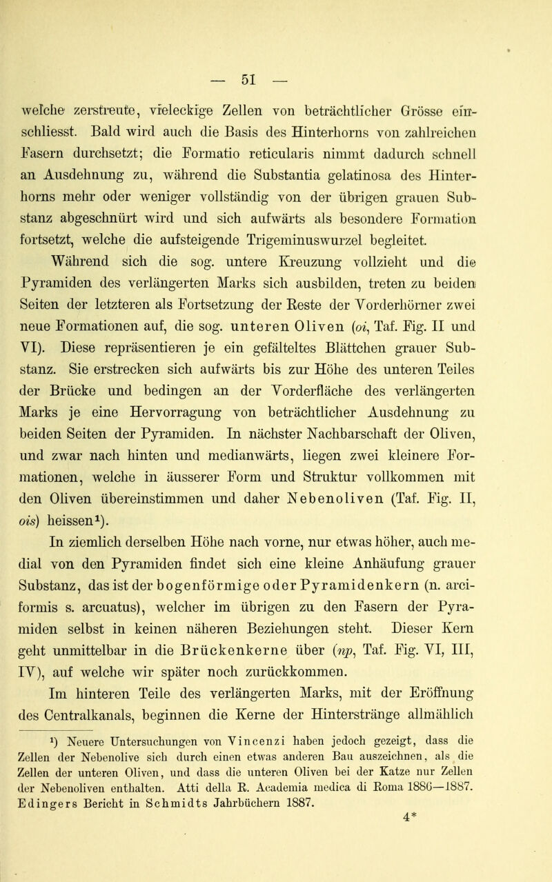 welche' zerstreute, vieleckige Zellen von betrachtlicher Grosse ei'rr- schliesst. Bald wird aucli die Basis des Hinterliorns von zahlreicheu Easern durchsetzt; die Formatio reticularis nimmt dadurcli scbnell an Ausdehnung zu, wahrend die Substantia gelatinosa des Hinter- horns mehr oder weniger vollstandig von der iibrigen grauen Sub- stanz abgescbniirt wird und sich aufwarts als besondere Formation fortsetzt, welche die aufsteigende Trigeminuswurzel begleitet. Wahrend sich die sog. untere Kreuzung vollzieht und die Pyramiden des verlangerten Marks sich ausbilden, treten zu beiden Seiten der letzteren als Fortsetzung der Keste der Yorderhorner zwei neue Formationen auf, die sog. unteren Oliven (oi^ Taf. Fig. II und VI). Diese reprasentieren je ein gefalteltes Blattchen grauer Sub- stanz. Sie erstrecken sich aufwarts bis zur Hohe des unteren Teiles der Briicke und bedingen an der Yorderflache des verlangerten Marks je eine Hervorragung von betrachtlicher Ausdehnung zu beiden Seiten der Pyramiden. In nachster Nachbarschaft der OHven, und zwar nach hinten und medianwarts, Uegen zwei kleinere For- mationen, welche in ausserer Form und Struktur vollkommen mit den Oliven iibereinstimmen und daher Nebenoliven (Taf. Fig. II, ois) heissen^). In ziemLich derselben Hohe nach vorne, nur etwas hoher, auch me- dial von den Pyramiden findet sich eine kleine Anhaufung grauer Substanz, das ist der bogenformige oder Pyramidenkern (n. arci- formis s. arcuatus), welcher im iibrigen zu den Fasern der Pyra- miden selbst in keinen naheren Beziehungen steht. Dieser Kern geht unmittelbar in die Briickenkerne iiber (np^ Taf. Fig. YI, III, lY), auf welche wir spater noch zuriickkommen. Im hinteren Telle des verlangerten Marks, mit der Eroffnung des Centralkanals, beginnen die Kerne der Hinterstrange allmiihlich 1) Neuere Untersiichungen von Vincenzi haben jedoch gezeigt, dass die Zellen der Nebenolive sich diirch einen etwas anderen Ban auszeichnen, als die Zellen der unteren Oliven, und dass die unteren Oliven bei der Katze nur Zellen der Nebenoliven entbalten. Atti della E. Academia medica di Eoma 188G—1887. Edingers Bericht in Schmidts Jahrbuchern 1887. 4*