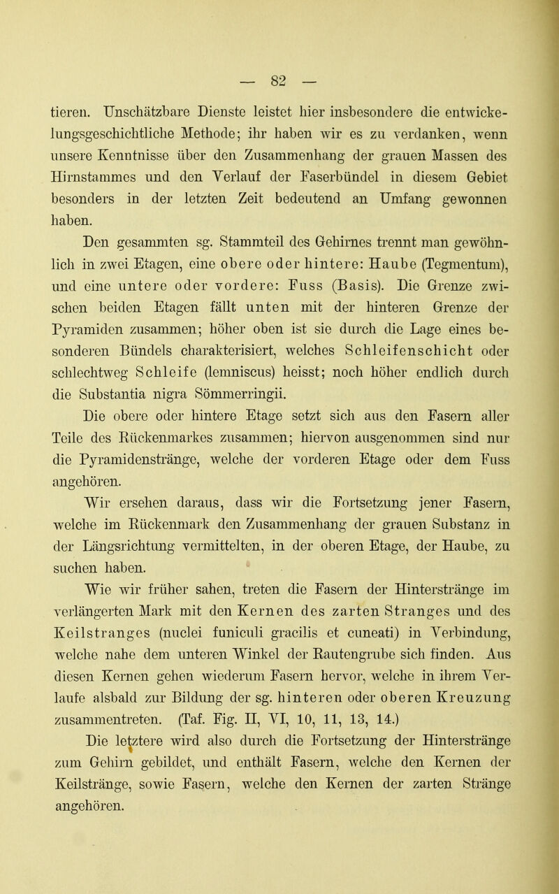 tieren. Unschatzbare Dienste leistet hier insbesondere die entwicke- lungsgeschichtliche Methode; ihr haben wir es zu verdanken, wenn unsere Kenntnisse tiber den Zusammenhang der grauen Massen des Hirnstammes und den Yerlauf der Faserbiindel in diesem Gebiet besonders in der letzten Zeit bedeutend an Umfang gewonnen haben. Den gesamniten sg. Stammteil des Gehirnes trennt man gewohn- lich in zwei Etagen, eine obere oderhintere: Haube (Tegmentum), und eine untere oder vordere: Fuss (Basis). Die Grenze zwi- schen beiden Etagen fallt unten mit der hinteren Grenze der Pyramiden zusammen; hoher oben ist sie durch die Lage eines be- sonderen Blindels charakterisiert, welches Schleifenschicht oder schlechtweg Schleife (lemniscus) heisst; noch hoher endlich durch die Substantia nigra Sommerringii. Die obere oder hintere Etage setzt sich aus den Fasern aller Telle des Kiickenmarkes zusammen; hiervon ausgenommen sind nur die Pyramidenstrange, welche der vorderen Etage oder dem Fuss angehoren. Wir ersehen daraus, dass wir die Fortsetzung jener Fasern, welche im Kiickenmark den Zusammenhang der grauen Substanz in der Langsrichtung vermittelten, in der oberen Etage, der Haube, zu suchen haben. Wie wir friiher sahen, treten die Fasern der Hinterstrange im yerlangerten Mark mit den Kern en des zarten Stranges und des Keilstranges (nuclei funiculi gracilis et cuneati) in Yerbindung, welche nahe dem unteren Winkel der Eautengrube sich linden. Aus diesen Kern en gehen wiederum Fasern heryor, w^elche in ihrem Yer- laufe alsbald zur Bildung der sg. hinteren oder oberen Kreuzung zusammentreten. (Taf. Fig. II, YI, 10, 11, 13, 14.) Die lel^ztere wird also durch die Fortsetzung der Hinterstrange zum Gehirn gebildet, und enthalt Fasern, welche den Kernen der Keilstrange, sowie Fasern, welche den Kernen der zarten Strange angehoren.