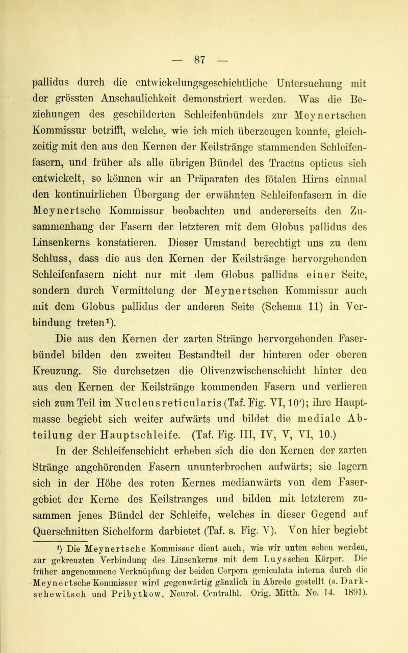 pallidus clurch die entwickelungsgeschichtliche Untcrsuchung mit der grossten Anschauliclikeit demonstriert werden. Was die Be- ziehungen des geschilderten Schleifenbtindels zur Meynertschon Kommissur betrifft, welche, wie icli mich iiberzeugen konnte, gleich- zeitig mit den aus den Kernen der Keilstrange stammondcn Schleifcn- fasern, und friiher als alle iibrigen Biindel des Tractus opticus sich entwickelt, so konnen wir an Praparaten des fotalen Hirns ciniiial den kontinuirlichen Ubergang der erwahnten Schleifenfasern in die Meynertsche Kommissur beobachten und andererseits den Zu- sammenhang der Fasern der letzteren mit dem Globus pallidus des Linsenkerns konstatieren. Dieser Umstand berechtigt uns zu dem Schluss, dass die aus den Kernen der Keilstrange liervorgehcnden Schleifenfasern nicht nur mit dem Globus pallidus einer Seite, sondern durch Yermittelung der Meynertschen Kommissur audi mit dem Globus pallidus der anderen Seite (Schema 11) in Ver- bindung treten^). Die aus den Kernen der zarten Strange hervorgehenden Faser- biindel bilden den zweiten Bestandteil der hinteren oder oberen Kreuzung. Sie durchsetzen die Olivenzwischenschicht hinter deu aus den Kernen der Keilstrange kommenden Fasern und verlieren sich zumTeil im Nucleus reticularis (Taf. Fig. YI, 10'); ihre Haupt- masse begiebt sich welter aufwarts und bildet die mediale Ab- teilung der Eauptschleife. (Taf. Fig. Ill, IV, Y, YI, 10.) In der Schleifenschicht erheben sich die den Kernen der zarten Strange angehorenden Fasern ununterbrochen aufwarts; sie lagern sich in der Hohe des roten Kernes medianwarts von dem Faser- gebiet der Kerne des Keilstranges und bilden mit letzterem zu- sammen jenes Biindel der Schleife, welches in dieser Gegend auf Querschnitten Sichelform darbietet (Taf. s. Fig. Y). Yon hier begiebt 1) Die Meynertsche Kommissur dient auch, wie wir unten sehen werden, zur gekreuzten Verbindung des Linsenkerns mit dem Luysschen Korper. Die Mher angenommene Verkniipfung der beiden Corpora geniculata interna durch die •Meynertsche Kommissur wird gegenwartig ganzlich in Abrede gestellt (s. Dark- schewitsch und Pribytkow, Neurol. Ccntralbl. Orig. Mitth. No. 14. 1891).