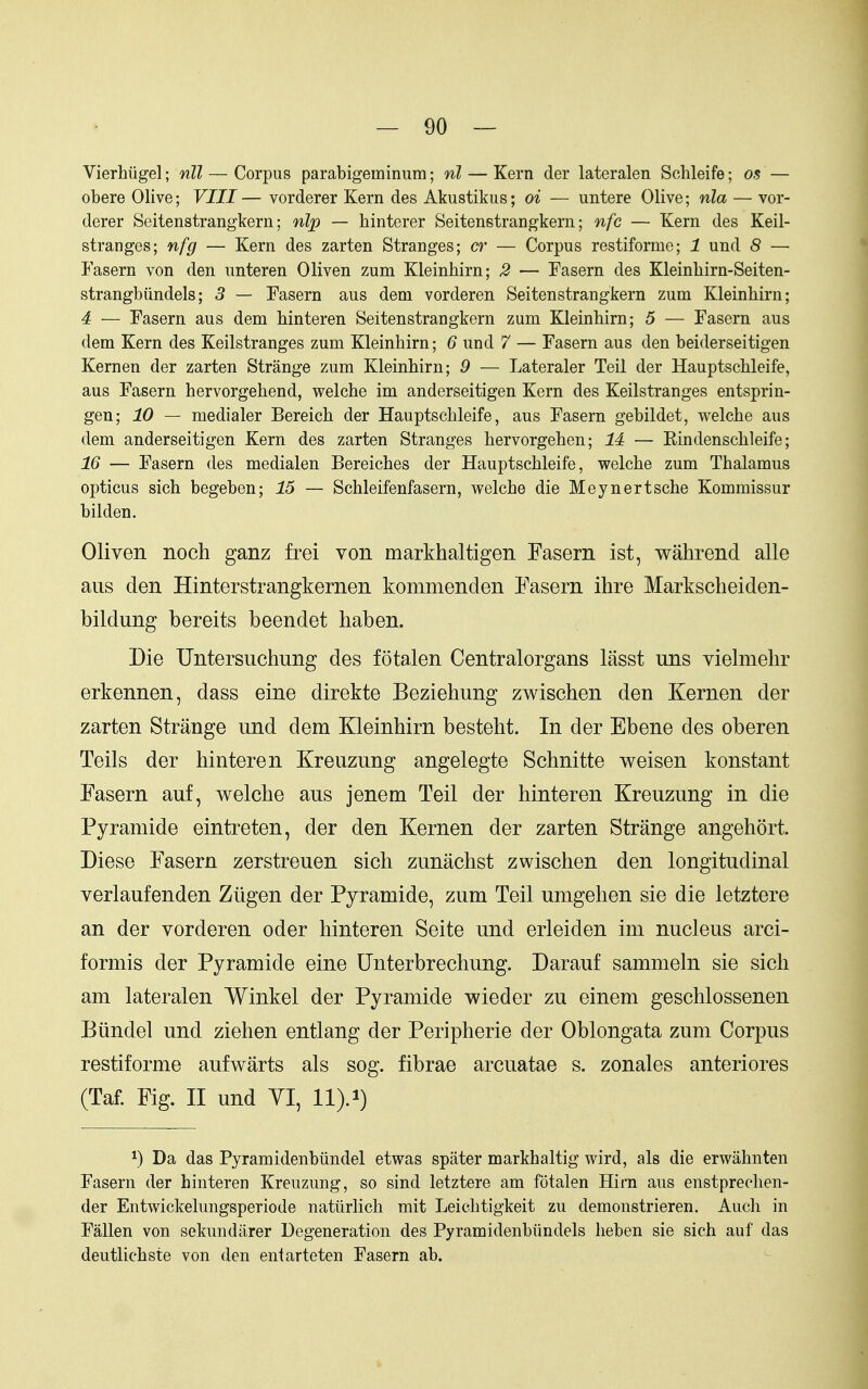 Vierhiigel; nil — Corpus parabigeininiim; nl — Kern der lateralen Schleife; os — obere Olive; VIII— vorderer Kern des Akustikus; oi — untere Olive; nla — vor- derer Seitenstrangkern; nip — hinterer Seitenstrangkern; nfc — Kern des Keil- stranges; nfg — Kern des zarten Stranges; cr — Corpus restiforme; 1 und 8 — Fasern von den unteren Oliven zum Kleinliirn; 2 — Fasern des Kleinliirn-Seiten- strangbiindels; 3 — Fasern aus dem vorderen Seitenstrangkern zum Kleinliirn; 4 — Fasern aus dem Mnteren Seitenstrangkern zum Kleinhirn; 5 — Fasern aus dem Kern des Keilstranges zum Kleinhirn; 6 und 7 — Fasern aus den beiderseitigen Kernen der zarten Strange zum Kleinhirn; 9 — Lateraler Teil der Hauptschleife, aus Fasern hervorgehend, welche im anderseitigen Kern des Keilstranges entsprin- gen; 10 — medialer Bereich der Hauptschleife, aus Fasern gebildet, welche aus dem anderseitigen Kern des zarten Stranges hervorgehen; M — Eindenschleife; 16 — Fasern des medialen Bereiches der Hauptschleife, welche zum Thalamus opticus sich begeben; 15 — Schleifenfasern, welche die Meynertsche Kommissur bilden. Oliven noch ganz frei von markhaltigen Fasern ist, wahrend alle aus den Hinterstrangkernen kommenden Fasern ihre Markscheiden- bildung bereits beendet haben. Die Untersuchung des fotalen Centralorgans lasst uns vielmehr erkennen, dass eine direkte Beziebung zwischen den Kernen der zarten Strange und dem Kleinhirn besteht. In der Ebene des oberen Teils der hinteren Kreuzung angelegte Schnitte weisen konstant Fasern auf, welche aus jenem Teil der hinteren Kreuzung in die Pyramide eintreten, der den Kernen der zarten Strange angehort. Diese Fasern zerstreuen sich zunachst zwischen den longitudinal verlaufenden Zligen der Pyramide, zum Teil umgehen sie die letztere an der vorderen oder hinteren Seite und erleiden im nucleus arci- formis der Pyramide eine Unterbrechung. Darauf sammeln sie sich am lateralen Winkel der Pyramide wieder zu einem geschlossenen Biindel und ziehen entlang der Peripherie der Oblongata zum Corpus restiforme aufwarts als sog. fibrae arcuatae s. zonales anteriores (Taf. Fig. II und YI, 1) Da das Pyramidenbiindel etwas spiiter markhaltig wird, als die erwiihnten Fasern der hinteren Kreuzung, so sind letztere am fotalen Him aus enstpreehen- der Entwickelungsperiode natiirlich mit Leichtigkeit zu demonstrieren. Audi in Fallen von sekundiirer Degeneration des Pyramidenbiindels heben sie sich auf das deutlichste von den entarteten Fasern ab.