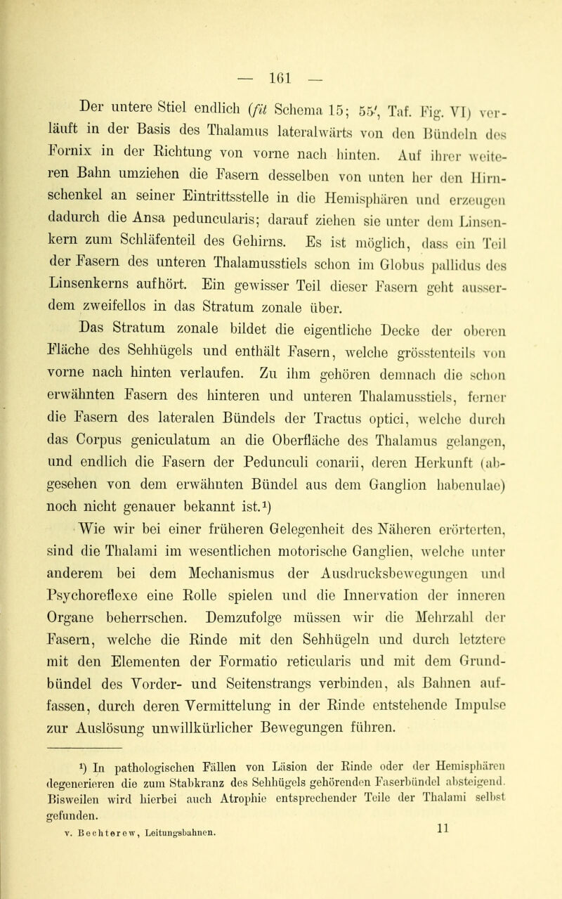 Der untere Stiel endlicli {fit Schonia 15; 55-', Taf. Fig. VT) v(m'- lauft in der Basis des Thalamus lateralwarts von don Biindeln dcs Fornix in der Eichtung von vorne nacli hinten. Auf ihier ^voito- ren Bahn umziehen die Fasern desselben von unton Iici- (h.-n Ilini- schenkel an seiner Eintrittsstelle in die Hemisphiiren und erz(3ug(Mi dadurch die Ansa peduncularis; darauf ziehen sie untcr dom Lins(.'n- kern zum Schlafenteil des Gebirns. Es ist moglich, dass cin Tcil der Fasern des unteren Thalamusstiels schon im Globus pallidus des Linsenkerns aufhort. Ein gewisser Teil diesor Fasern goht ausser- dem zweifellos in das Stratum zonale liber. Das Stratum zonale bildet die eigentliche Decke der obercn Flache des Sehhiigels und enthalt Fasern, welche grosstenteils von vorne nacb hinten verlaufen. Zu ihm gehoren demnach die sclion erwahnten Fasern des hinteren und unteren Thalamusstiels, fornci- die Fasern des lateralen Bundels der Tractus optici, welche duicli das Corpus geniculatum an die Oberflache des Thalamus gelangon, und endlich die Fasern der Pedunculi conarii, deren Herkunft (ab- gesehen von dem erwahnten Biindel aus dem Ganglion habenulao) noch nicht genauer bekannt ist.^) Wie wir bei einer friiheren Gelegenheit des Naheren erortoi'ton, sind die Thalami im wesentlichen motorische Ganglien, welclic uutei* anderem bei dem Mechanismus der AusdrucksbeAvcgungen und Psychoreflexe eine Kolle spielen und die Innervation der inncrcn Organe beherrschen. Demzufolge miissen wir che Melu'zahl dor Fasern, welche die Kinde mit den Sehhiigeln und durch letztere mit den Elementen der Formatio reticularis und mit dem Grund- blindel des Yorder- und Seitenstrangs verbinden, als Bahnen auf- fassen, durch deren Yermittelung in der Kinde entstehende Impulse zur Auslosung unwillkiirlicher Bewegungen fiihren. 1) In pathologischen Fallen von Lasion der Kinde oder der Hemispliiircn degenerieren die zum Stabkranz des Sehhiigels gehorendon Faserlxindol al)steigend. Bisweilen wird hierbei auch Atrophie entsprecbender Teile der Tbalami sell*?! gefunden. V. BechtereAv, Leitungsbahnen.