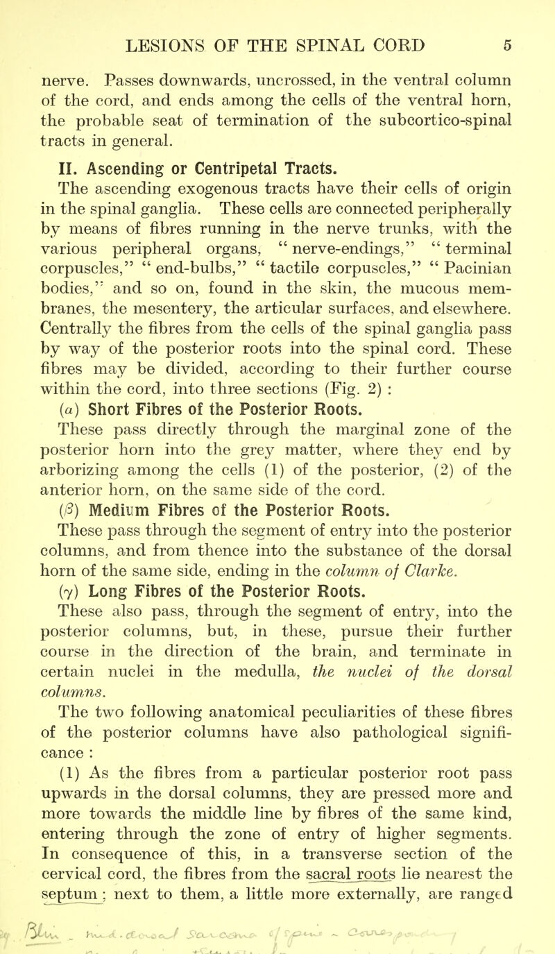 nerve. Passes downwards, uncrossed, in the ventral column of the cord, and ends among the cells of the ventral horn, the probable seat of termination of the subcortico-spinal tracts in general. 11. Ascending or Centripetal Tracts. The ascending exogenous tracts have their cells of origin in the spinal ganglia. These cells are connected peripherally by means of fibres running in the nerve trunks, with the various peripheral organs, nerve-endings, terminal corpuscles,  end-bulbs,  tactile corpuscles,  Pacinian bodies, and so on, found in the skin, the mucous mem- branes, the mesentery, the articular surfaces, and elsewhere. Centrally the fibres from the cells of the spinal ganglia pass by way of the posterior roots into the spinal cord. These fibres may be divided, according to their further course within the cord, into three sections (Fig. 2) : (a) Short Fibres of the Posterior Roots. These pass directly through the marginal zone of the posterior horn into the grey matter, where they end by arborizing among the cells (1) of the posterior, (2) of the anterior horn, on the same side of the cord. Medium Fibres of the Posterior Roots. These pass through the segment of entry into the posterior columns, and from thence into the substance of the dorsal horn of the same side, ending in the column of Clarke. (y) Long Fibres of the Posterior Roots. These also pass, through the segment of entry, into the posterior columns, but, in these, pursue their further course in the direction of the brain, and terminate in certain nuclei in the medulla, the nuclei of the dorsal columns. The two following anatomical peculiarities of these fibres of the posterior columns have also pathological signifi- cance : (1) As the fibres from a particular posterior root pass upwards in the dorsal columns, they are pressed more and more towards the middle line by fibres of the same kind, entering through the zone of entry of higher segments. In consequence of this, in a transverse section of the cervical cord, the fibres from the sacml^ roots lie nearest the septum ; next to them, a little more externally, are ranged