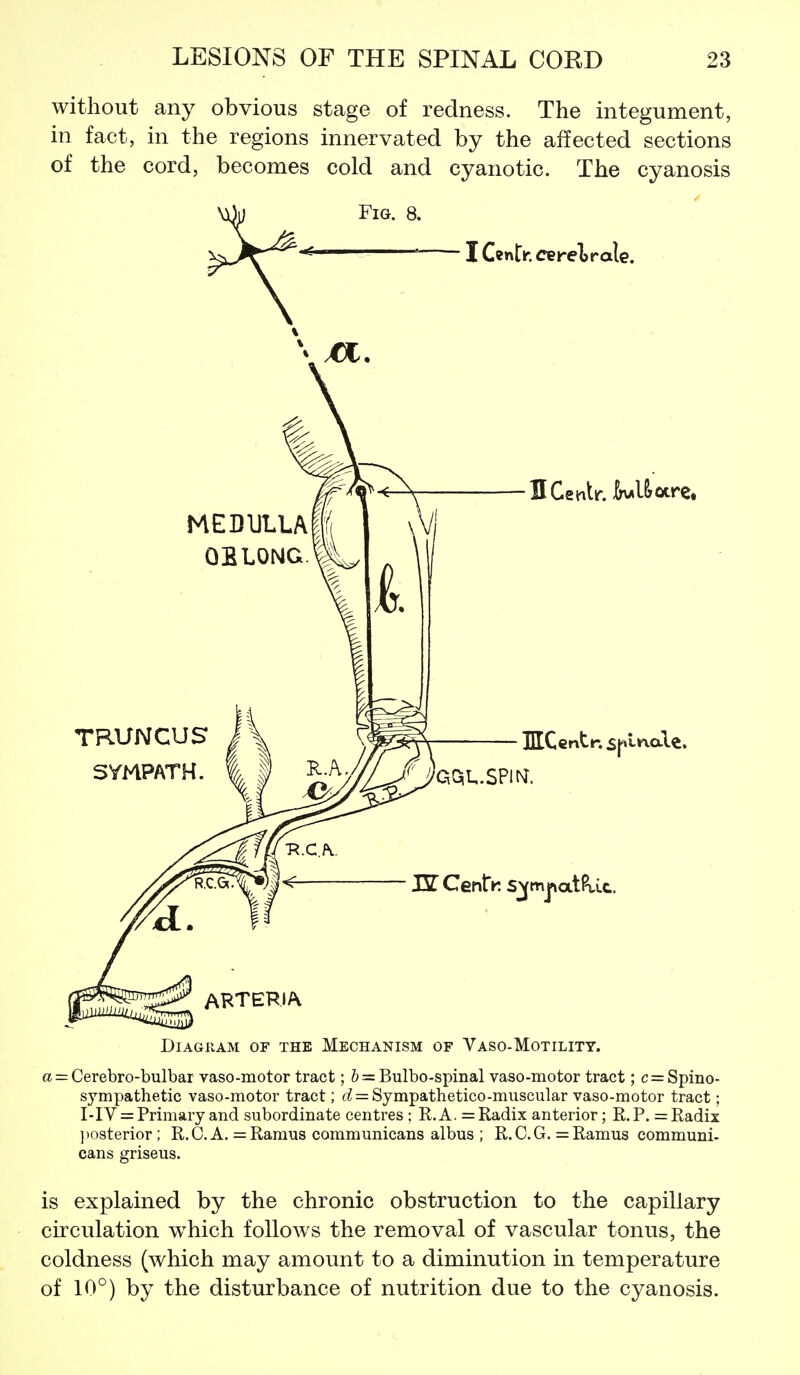 without any obvious stage of redness. The integument, in fact, in the regions innervated by the affected sections of the cord, becomes cold and cyanotic. The cyanosis Diagram of the Mechanism of Vaso-Motilitt. a = Cerebro-bulbar vaso-motor tract; & = Bulbo-spmal vaso-motor tract; c = Spino- sympathetic vaso-motor tract; (^ = Sympathetico-muscular vaso-motor tract; I-IY = Primary and subordinate centres : E,. A. = Radix anterior; R. P. = Radix Itosterior; R.C. A. =Ramus coramunicans albus ; R.C.G. = Ramus communi- cans griseus. is explained by the chronic obstruction to the capillary circulation which follows the removal of vascular tonus, the coldness (which may amount to a diminution in temperature of 10°) by the disturbance of nutrition due to the cyanosis.