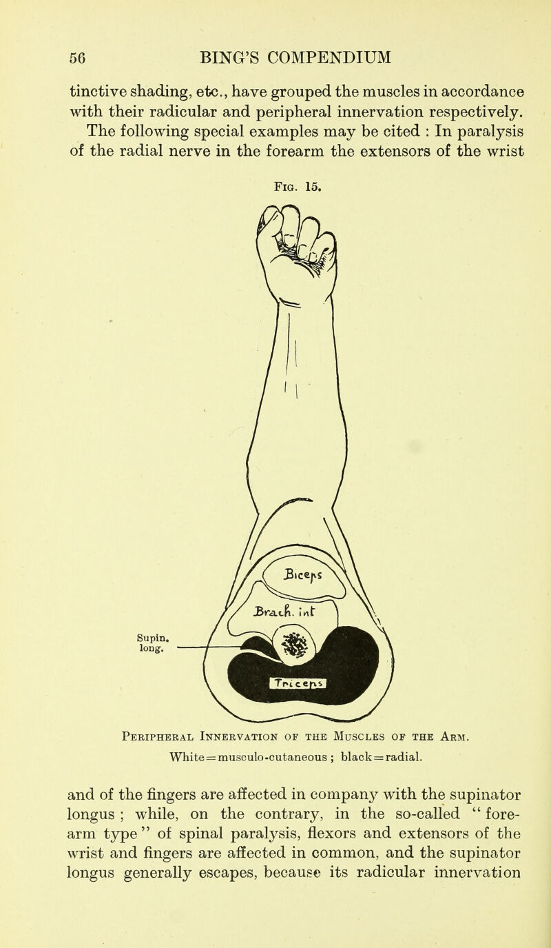 tinctive shading, etc., have grouped the muscles in accordance with their radicular and peripheral innervation respectively. The following special examples may be cited : In paralysis of the radial nerve in the forearm the extensors of the wrist Fig. 15. Supin. long. Peripheral Innervation of the Muscles of the Arm. White = musculo-cutaneous ; black = radial. and of the fingers are affected in company with the supinator longus ; while, on the contrary, in the so-called  fore- arm type  of spinal paralysis, flexors and extensors of the wrist and fingers are affected in common, and the supinator longus generally escapes, because its radicular innervation