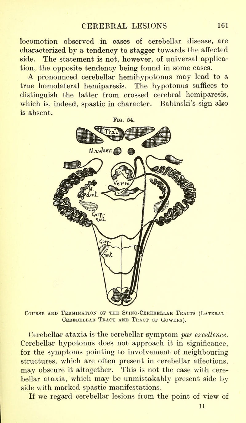 locomotion observed in cases of cerebellar disease, are characterized by a tendency to stagger towards the affected side. The statement is not, however, of universal applica- tion, the opposite tendency being found in some cases. A pronounced cerebellar hemihypotonus may lead to a true homolateral hemiparesis. The hypotonus suffices to distinguish the latter from crossed cerebral hemiparesis, which is, indeed, spastic in character. Babinski's sign also is absent. Fig. 54. Course and Termination of the Spino-Cerebellar Tracts (Lateral Cerebellar Tract and Tract of Gowers). Cerebellar ataxia is the cerebellar symptom par excellence. Cerebellar hypotonus does not approach it in significance, for the symptoms pointing to involvement of neighbouring structures, which are often present in cerebellar affections, may obscure it altogether. This is not the case with cere- bellar ataxia, which may be unmistakably present side by side with marked spastic manifestations. If we regard cerebellar lesions from the point of view of 11