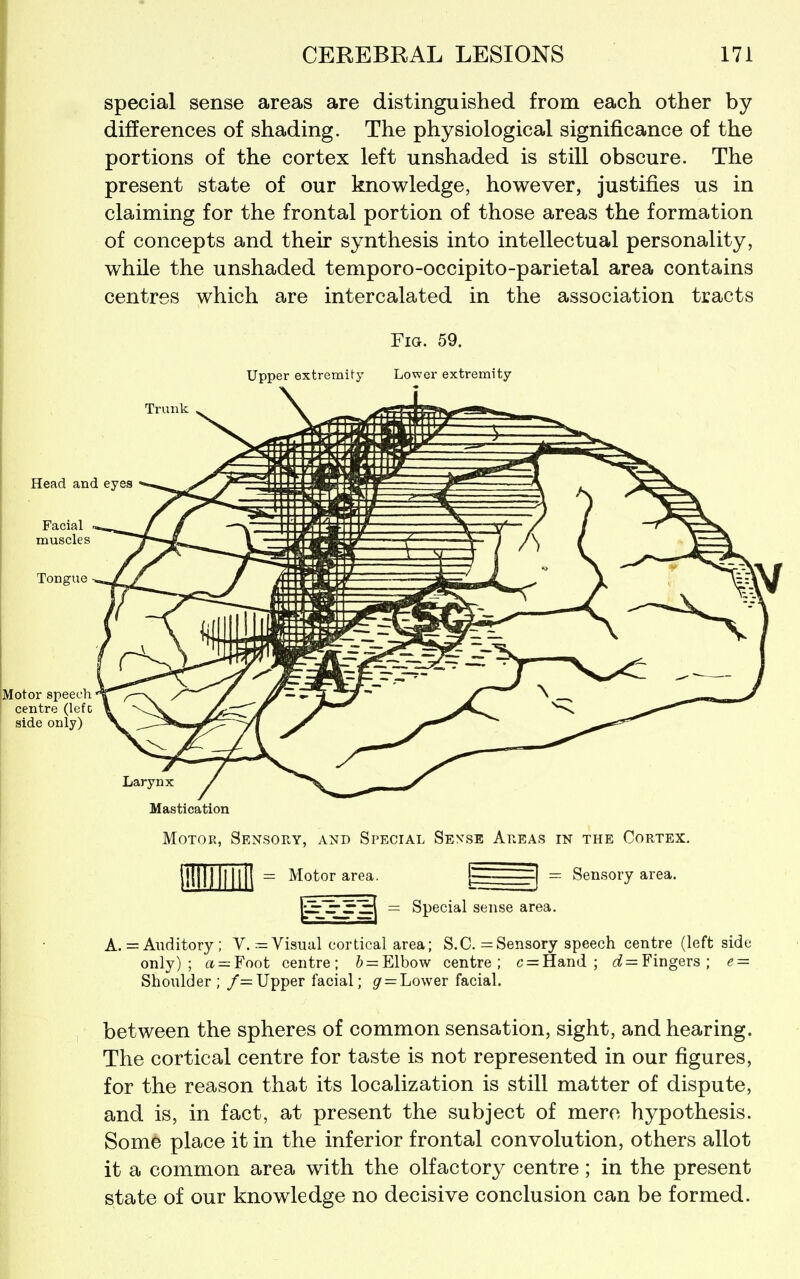 special sense areas are distinguished from each other by differences of shading. The physiological significance of the portions of the cortex left unshaded is still obscure. The present state of our knowledge, however, justifies us in claiming for the frontal portion of those areas the formation of concepts and their synthesis into intellectual personality, while the unshaded temporo-occipito-parietal area contains centres which are intercalated in the association tracts Fig. 59. Upper extremity Lower extremity Trunk Head and eyes Motor speech centre (lefc side only) Larynx Mastication Motor, Sensory, and Special Sense Areas in the Cortex. : Motor area. |- I — Sensory area. Lr^^JT^ = Special sense area. A. = Auditory; Y. Visual cortical area; S.C. = Sensory speech centre (left side only); a = Foot centre; & = Elbow centre; c = Hand ; (i= Fingers; « = Shoulder ; /= Upper facial; g=Lo^yeT facial. between the spheres of common sensation, sight, and hearing. The cortical centre for taste is not represented in our figures, for the reason that its localization is still matter of dispute, and is, in fact, at present the subject of mere hypothesis. Som6 place it in the inferior frontal convolution, others allot it a common area with the olfactory centre; in the present state of our knowledge no decisive conclusion can be formed.