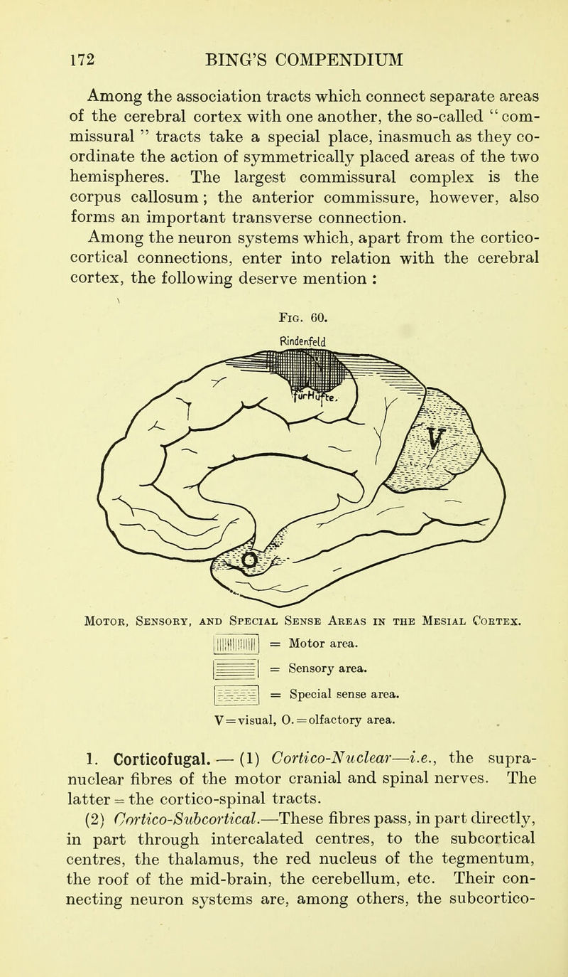 Among the association tracts which connect separate areas of the cerebral cortex with one another, the so-called  com- missural  tracts take a special place, inasmuch as they co- ordinate the action of symmetrically placed areas of the two hemispheres. The largest commissural complex is the corpus callosum; the anterior commissure, however, also forms an important transverse connection. Among the neuron systems which, apart from the cortico- cortical connections, enter into relation with the cerebral cortex, the following deserve mention : Fig. 60. Rindervfeld Motor, Sensory, and Special Sense Areas in the Mesial Cortex. ||||il!li!-illHl| = Motor area. I I = Sensory area. = Special sense area. V = visual, 0. = olfactory area. 1. Corticofugal. — (l) Cortico-Nuclear—i.e., the supra- nuclear fibres of the motor cranial and spinal nerves. The latter = the cortico-spinal tracts. (2) Cortico-Suhcortical.—These fibres pass, in part directly, in part through intercalated centres, to the subcortical centres, the thalamus, the red nucleus of the tegmentum, the roof of the mid-brain, the cerebellum, etc. Their con- necting neuron systems are, among others, the subcortico-