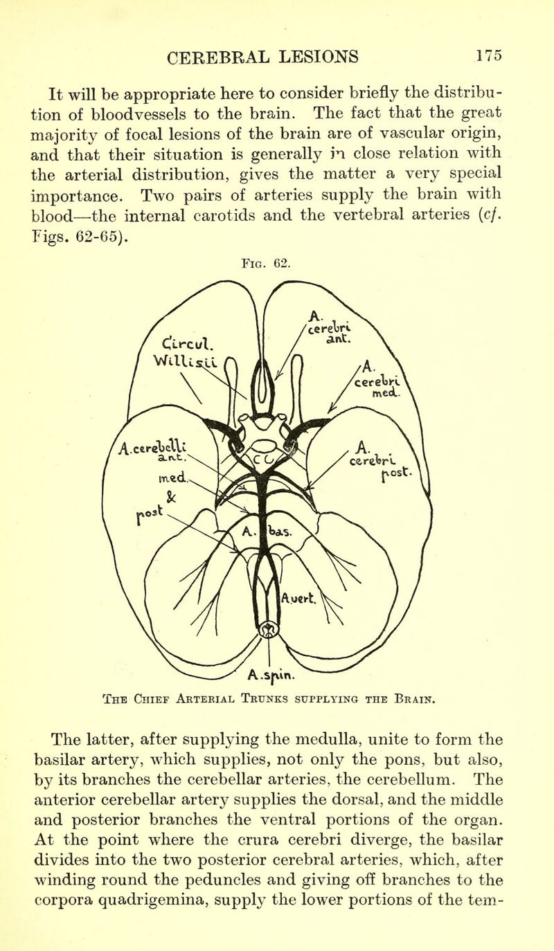 It will be appropriate here to consider briefly the distribu- tion of bloodvessels to the brain. The fact that the great majority of focal lesions of the brain are of vascular origin, and that their situation is generally in close relation with the arterial distribution, gives the matter a very special importance. Two pairs of arteries supply the brain with blood—the internal carotids and the vertebral arteries (c/. Figs. 62-65). Fig. 62. The Chief Arterial Trunks supplying the Brain. The latter, after supplying the medulla, unite to form the basilar artery, which supplies, not only the pons, but also, by its branches the cerebellar arteries, the cerebellum. The anterior cerebellar artery supplies the dorsal, and the middle and posterior branches the ventral portions of the organ. At the point where the crura cerebri diverge, the basilar divides into the two posterior cerebral arteries, which, after winding round the peduncles and giving off branches to the corpora quadrigemina, supply the lower portions of the tern-