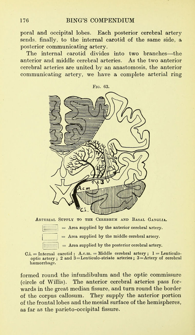 poral and occipital lobes. Each posterior cerebral artery sends, finally, to the internal carotid of the same side, a posterior communicating artery. The internal carotid divides into two branches—the anterior and middle cerebral arteries. As the two anterior cerebral arteries are united by an anastomosis, the anterior communicating artery, we have a complete arterial ring Arterial Supply to the Cerebrum and Basal Ganglia. [j = Area supplied by the anterior cerebral artery. j j = Area supplied by the middle cerebral artery. I = Area supplied by the posterior cerebral artery. Ci. = Internal carotid ; A.c.m. = Middle cerebral artery ; 1 = Lenticulo- optic artery ; 2 and 3 = Lenticulo-striate arteries ; 3=Artery of cerebral haemorrhage. formed round the infundibulum and the optic commissure (circle of Willis). The anterior cerebral arteries pass for- wards in the great median fissure, and turn round the border of the corpus callosum. They supply the anterior portion of the frontal lobes and the mesial surface of the hemispheres, as far as the parieto-occipital fissure.