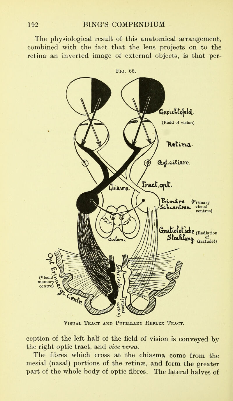 The physiological result of this anatomical arrangement, combined with the fact that the lens projects on to the retina an inverted image of external objects, is that per- FiG. 66. Visual Tract and PnTiiXARY Reflex Teact. ception of the left half of the field of vision is conveyed by the right optic tract, and vice versa. The fibres which cross at the chiasma come from the mesial (nasal) portions of the retinae, and form the greater part of the whole body of optic fibres. The lateral halves of