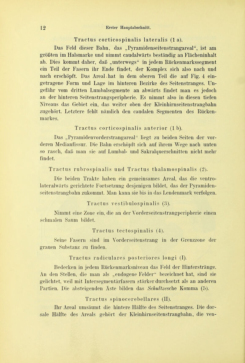 Tractus corticospinalis lateralis (1 a). Das Feld dieser Bahn, das „Pyramidenseitenstrangareal, ist am grofiten im Halsmarke und nimmt caudalwarts bestandig an Flacheninhalt ab. Dies kommt daher, daft „unterwegs in jedem Riickenmarkssegment ein Teil der Fasern ihr Ende findet, der Komplex sich also nach und nach erschopf t, Das Areal. hat in dem oberen Teil die auf Fig. 4 ein- getragene Form und Lage im hinteren Bezirke des Seitenstranges. Un- gefahr vom dritten Lumbalsegmente an abwarts findet man es jedoch an der hinteren Seitenstrangsperipherie. Es nimmt also in diesen tiefen Niveaus das Gebiet ein, das weiter oben der Kleinhirnseitenstrangbahn zugehort. Letztere fehlt namlich den caudalen Segmenten des Riicken- markes. Tractus corticospinalis anterior (1 b). Das „Pyramidenvorderstrangareal liegt zu beiden Seiten der vor- deren Medianfissur. Die Bahn erschopft sich auf ihrem Wege nach unten so rasch, dafi man sie auf Lumbal- und Sakralquerschnitten nicht mehr findet. Tractus rubrospinalis und Tractus thalamospinalis (2). Die beiden Trakte haben ein gemeinsames Areal, das die ventro- lateralwarts gerichtete Fortsetzung desjenigen bildet, das der Pyramiden- seitenstrangbahn zukommt. Man kann sie bis in das Lendenmark verfolgen. Tractus vestibulospinalis (3). Nimmt eine Zone ein, die an der Vorderseitenstrangperipherie einen schmalen Saum bildet, Tractus tectospinalis (4). Seine Fasern sind im Vorderseitenstrang in der Grenzzone der grauen Substanz zu finden. Tractus radiculares posteriores longi (I). Bedecken in jedem Riickenmarksniveau das Feld der Hinterstrange. An den Stellen, die man als „endogene Felder bezeichnet hat, sind sie gelichtet, weil mit Intersegmentarfasern starker durchsetzt als an anderen Partien. Die absteigenden Aste bilden das Schultzesche Komma (5). Tractus spinocerebellars (II). Ihr Areal umsaumt die hintere Halfte des Seitenstranges. Die dor- sale Halfte des Areals gehort der Kleinhirnseitenstrangbahn, die ven-