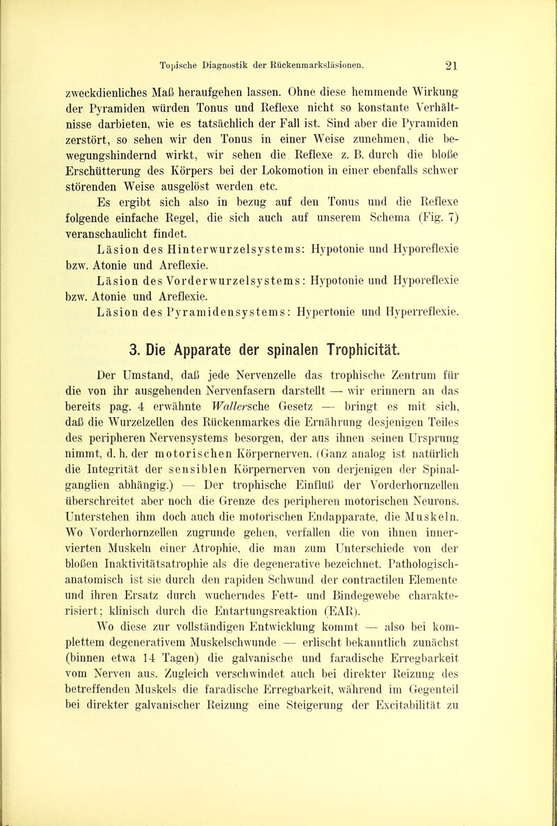 zweckdienliches Mafi heraufgehen lassen. Ohne diese hemraende Wirkung der Pyramiden wiirden Tonus und Reflexe nicht so konstante Verhalt- nisse darbieten, wie es tatsachlich der Fall ist. Sind aber die Pyramiden zerstort, so sehen wir den Tonus in einer Weise zunehraen, die be- wegungsbindernd wirkt, wir sehen die Reflexe z. B. durch die blofie Erschiitterung des Korpers bei der Lokomotion in einer ebenfalls schwer storenden Weise ausgelost werden etc. Es ergibt sich also in bezug auf den Tonus und die Reflexe folgende einfache Regel, die sich auch auf unserem Schema (Fig. 7) veranschaulicht findet. Lasion des Hinterwurzelsystems: Hypotonie und Hyporeflexie bzw. Atonie und Areflexie. Lasion des Vorderwurzelsystems: Hypotonie und Hyporeflexie bzw. Atonie und Areflexie. Lasion des Pyramidensystems: Hypertonic und Hyperreflexie. 3. Die Apparate der spinalen Trophicitat. Der Umstand, dafi jede Nervenzelle das trophische Zentrum fur die von ihr ausgehenden Nervenfasern darstellt —■ wir erinnern an das bereits pag. 4 erwahnte Wallersche Gesetz — bringt es mit sich, dafi die Wurzelzellen des Riickenmarkes die Ernahrung desjenigen Teiles des peripheren Nervensystems besorgen, der aus ihnen seinen Ursprung nimmt, d. h. der motorischen Korpernerven. (Ganz analog ist naturlich die Integritat der sensiblen Korpernerven von derjenigen der Spinal- ganglien abhangig.) — Der trophische Einflufi der Vorderhornzellen iiberschreitet aber noch die Grenze des peripheren motorischen Neurons. Unterstehen ihm doch auch die motorischen Endapparate, die Muskeln. Wo Vorderhornzellen zugrunde gehen, verfallen die von ihnen inner- vierten Muskeln einer Atrophie, die man zum Unterschiede von der blofien Inaktivitatsatrophie als die degenerative bezeichnet. Pathologisch- anatomisch ist sie durch den rapiden Schwund der contractilen Elemente und ihren Ersatz durcii wucherndes Fett- und Bindegewebe charakte- risiert; klinisch durch die Entartungsreaktion (EAR). Wo diese zur vollstandigen Entwicklung kommt — also bei kom- plettem degenerativem Muskelschwunde — erlischt bekanntlich zunachst (binnen etwa 14 Tagen) die galvanische und faradische Erregbarkeit vom Nerven aus. Zugleich verschwindet auch bei direkter Reizung des betreffenden Muskels die faradische Erregbarkeit, wahrend im Gegenteil bei direkter galvanischer Reizung eine Steigerung der Excitabilitat zu