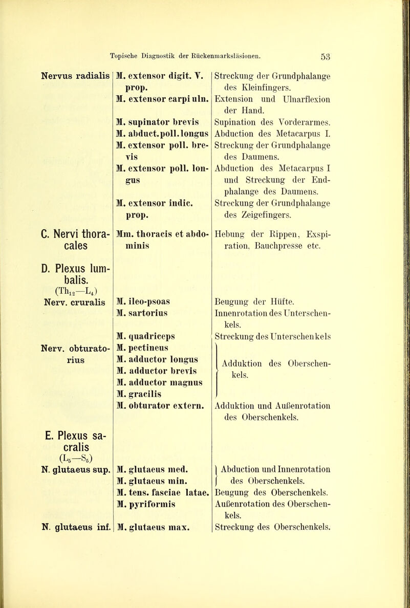 Nervus radialis C. Nervi thora- cales D. Plexus Ium- balis. (Th12-L4) Nerv. cruralis Nerv. obturato- rius E. Plexus sa- cralis (L5-S6) N. glutaeus sup. N. glutaeus inf. M. extensor digit. V. prop. M.extensor carpi uln. M. supinator brevis M. abduct.poll.longus M. extensor poll, bre- vis M. extensor poll, lon- gus M. extensor indie, prop. Mm. thoracis et abdo- minis M. ileo-psoas M.sartorius M. quadriceps M. pectineus M.adductor longus M. adductor brevis M. adductor magnus M. gracilis M. obturator extern. M. glutaeus med. M. glutaeus min. M. tens, fasciae latae. M. pyriformis M. glutaeus max. Streckung der Grundphalange des Kleinfingers. Extension und Ulnarflexion der Hand. Supination des Vorderarmes. Abduction des Metacarpus I. Streckung der Grundphalange des Daumens. Abduction des Metacarpus I und Streckung der End- phalange des Daumens. Streckung der Grundphalange des Zeigefingers. Hebung der Rippen, Exspi- ration, Bauchpresse etc. Beugung der Hiifte. Innenrotation des Unterschen- kels. Streckung des Unterschenkels Adduktion des Oberschen- kels. Adduktion und Auiienrotation des Oberschenkels. | Abduction und Innenrotation \ des Gberschenkels. Beugung des Oberschenkels. AuCenrotation des Oberschen- kels. Streckung des Oberschenkels.