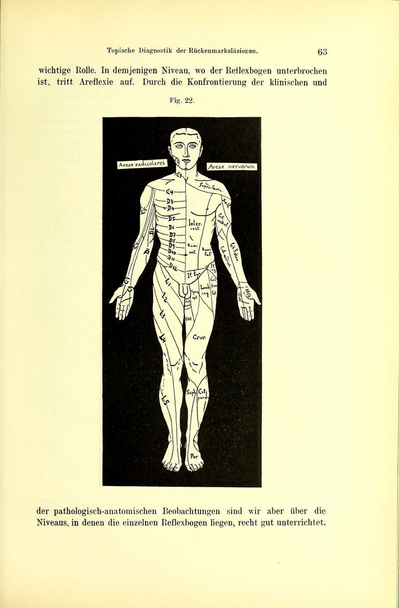 der pathologisch-anatomischen Beobachtungen sind wir aber iiber die Niveaus, in denen die einzelnen Reflexbogen MegeD, recht gut unterrichtet.