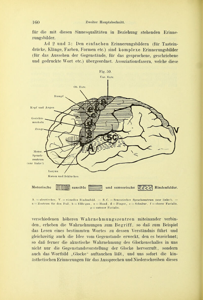 fur die mit diesen Sinnesqualitaten in Beziehung stehenden Erinne- rungsbilder. Ad 2 und 3: Den einfachen Erinnerungsbildern (fur Tastein- driicke, Klange, Farben, Formen etc.) sind komplexe Efinnerungsbilder (fur das Aussehen der Gegenstande, fiir das gesprochene, geschriebene und gedruckte Wort etc.) ubergeordnet, Assoziationsfasern, welehe diese Fig. 59. Unt. Extr. Ob. Extr. A. = nkustisch.es, V. = visuelles Bindenfeld. — S. C. = Sensorisches Sprachzentrnm (nur links !). — a = Zentrum fiir den FuC , b = Ellbngen , c = Hand, d = Finger, e = Sehulter, f soberer Facialis, g = nnterer Facialis. verschiedenen hoheren Wahrnehmungszentren miteinander verbin- den, erheben die Wahrnehmungen zum Begriff, so dafi zum Beispiel das Lesen eines bestimmten Wortes zu dessen Verstandnis fiihrt und gleichzeitig auch die Idee vom Gegenstande erweckt, den es bezeichnet; so daO ferner die akustische Wahrnehmung des Glockenschalles in uns nicht nur die Gegenstandsvorstellung der Glocke hervorruft, sondern auch das Wortbild „Glocke'1 auftauchen lafit, und uns sofort die kin- asthetischenErinnerungen fiir das Aussprechen undNiederschreiben dieses