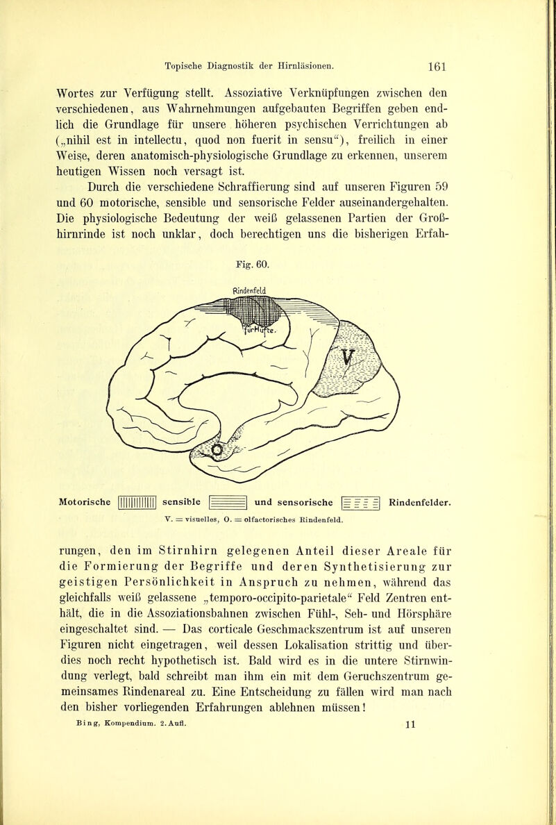 Wortes zur Verfiigung stellt. Assoziative Verkniipfungen zwischen den verschiedenen, aus Wahrnehmungen aufgebauten Begriffen geben end- lich die Grundlage fiir unsere hoheren psychischen Verrichtungen ab („nihil est in intellects, quod non fuerit in sensu), freilich in einer Weise, deren anatomisch-physiologische Grundlage zu erkennen, unserem heutigen Wissen noch versagt ist. Durch die verschiedene Schraffierung sind auf unseren Figuren 59 und 60 motorische, sensible und sensorische Felder auseinandergehalten. Die physiologische Bedeutung der weiB gelassenen Partien der Grofi- hirnrinde ist noch unklar, doch berechtigen uns die bisherigen Erfah- Fig. 60. RMeivfeld V. = visuelles, 0. = olfactorisches Eindenfeld. rungen, den im Stirnhirn gelegenen Anteil dieser Areale fiir die Formierung der Begriffe und deren Synthetisierung zur geistigen Personlichkeit in Anspruch zu nehmen, wiihrend das gleichfalls weifi gelassene „temporo-occipito-parietale Feld Zentren ent- halt, die in die Assoziationsbahnen zwischen Fiihl-, Seb- und Horspbare eingeschaltet sind. — Das corticale Geschmackszentrura ist auf unseren Figuren nicht eingetragen, weil dessen Lokalisation strittig und iiber- dies noch recht hypothetisch ist. Bald wird es in die untere Stirnwin- dung verlegt, bald schreibt man ihm ein mit dem Geruchszentrum ge- meinsames Pdndenareal zu. Eine Entscheidung zu fallen wird man nach den bisher vorliegenden Erfahrungen ablehnen miissen! Bing, Kompendinm. 2.Anfl. Jl