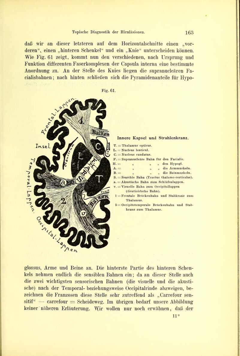 dafi wir an dieser letzteren auf dem Horizontalschnitte einen „vor- deren, einen „hinteren Schenkel und ein „Knie unterscheiden konnen. Wie Fig. 61 zeigt, kommt nun den verschiedenen, nach Ursprung und Funktion differenten Faserkomplexen der Capsula interna eine bestimmte Anordnung zu. An der Stelle des Knies lie gen die supranuclearen Fa- cialisbahnen; nach hinten schliefien sich die Pyramidenanteile fur Hypo- Fig. 61. Innere Kapsel und Strahlenkranz. T. = Thalamus opticus. L. — Nucleus lentieul. C. = Nucleus caudatus. J?. = Supranuclear Bahn fiir den Facialis. H. = ,, „ .. den Hypogl. A. = „ „ „ die Armmuskeln. B. = „ „ „ die Beinmuskeln. S. = Sensible Bahn (Tractns thalamo-cortieales). a. = Akustische Bahn zum Schlafenlappen. v. ^Visuelle Bahn zum Occipitallappen ((jra/i'o/e/sehe Bahn). 1—Frontale Bruckenbahu und Stabkranz zum Thalamus. 2 = Occipitotemporale Briickenbahn und Stab- kranz zum Thalamus. glossus, Arme und Beine an. Die hinterste Partie des hinteren Schen- kels nehmen endlich die sensiblen Bahnen ein; da an dieser Stelle auch die zwei wichtigsten sensorischen Bahnen (die visuelle und die akusti- sche) nach der Temporal- beziehungsweise Occipitalrinde abzweigen, be- zeichnen die Franzosen diese Stelle sehr zutreffend als „Carrefour sen<- sitif — carrefour = Scheideweg. Im ubrigen bedarf unsere Abbildung keiner naheren Erlauterung. Wir wollen nur noch erwahnen, dafi der 11*