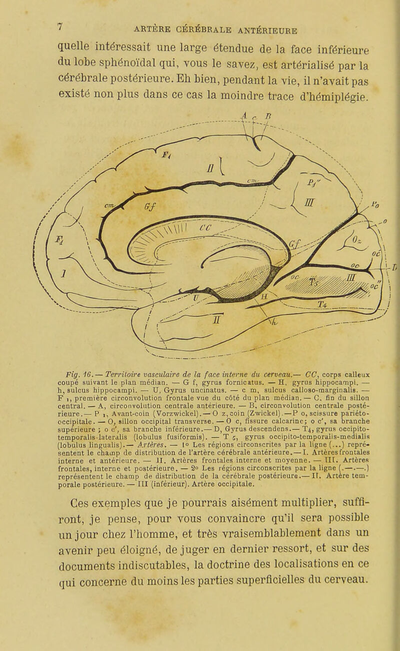 quelle intéressait une large étendue de la face inférieure du lobe sphénoïdal qui, vous le savez, est artérialisé par la cérébrale postérieure. Eh bien, pendant la vie, il n'avait pas existé non plus dans ce cas la moindre trace d'hémiplégie. Fig. 16. — Terriloire vasculaire de la face interne du cerveau.— CC, corps calleux coupé suivant le plan médiau. — G f, gyrus forniGatus. — H, gyrus hippocarnpi. — h, sulcus hippocarnpi. — U, Gyrus uncinatus. — cm, sulcus calloso-tnarginalis. — F 1, première circonvolution frontale vue du côté du plan médian.— C. fin du sillon central. — K, circonvolution centrale antérieure. — B, circonvolution centrale posté- rieure.— P 1, Avant-coin (Vorzwickel).— 0 z,coin (Zwickel). — P o, scissure pariéto- occipitale. — 0, sillon occipital transverse. — 0 c, fissure calcarinc; oc', sa branche supérieure ; o c', sa branche inférieure.— D, Gyrus descendens.— T4, gyrus occipito- temporalis laterdlis (lobulus fusiformis). — T 5, gyrus occipito-temporalis-medialis {lobulus lingualis).— A.rtères. — 1° Les régions circonscrites par la ligne (...) repré- sentent le champ de distribution de l'artère cérébrale antérieure.— I. Artères frontales interne et antérieure. — II. Artères frontales interne et moyenne. — III. Artères frontales, interne et postérieure. — 2° Les régions circonscrites par la ligne (.—.—.) représentent le champ de distribution de la cérébrale postérieure.— If. Artère tem- porale postérieure. — III (inférieur). Artère occipitale. Ces exemples que je pourrais aisément multiplier, suffi- ront, je pense, pour vous convaincre qu'il sera possible un jour chez l'homme, et très vraisemblablement dans un avenir peu éloigné, de juger en dernier ressort, et sur des documents indiscutables, la doctrine des localisations en ce qui concerne du moins les parties superficielles du cerveau.