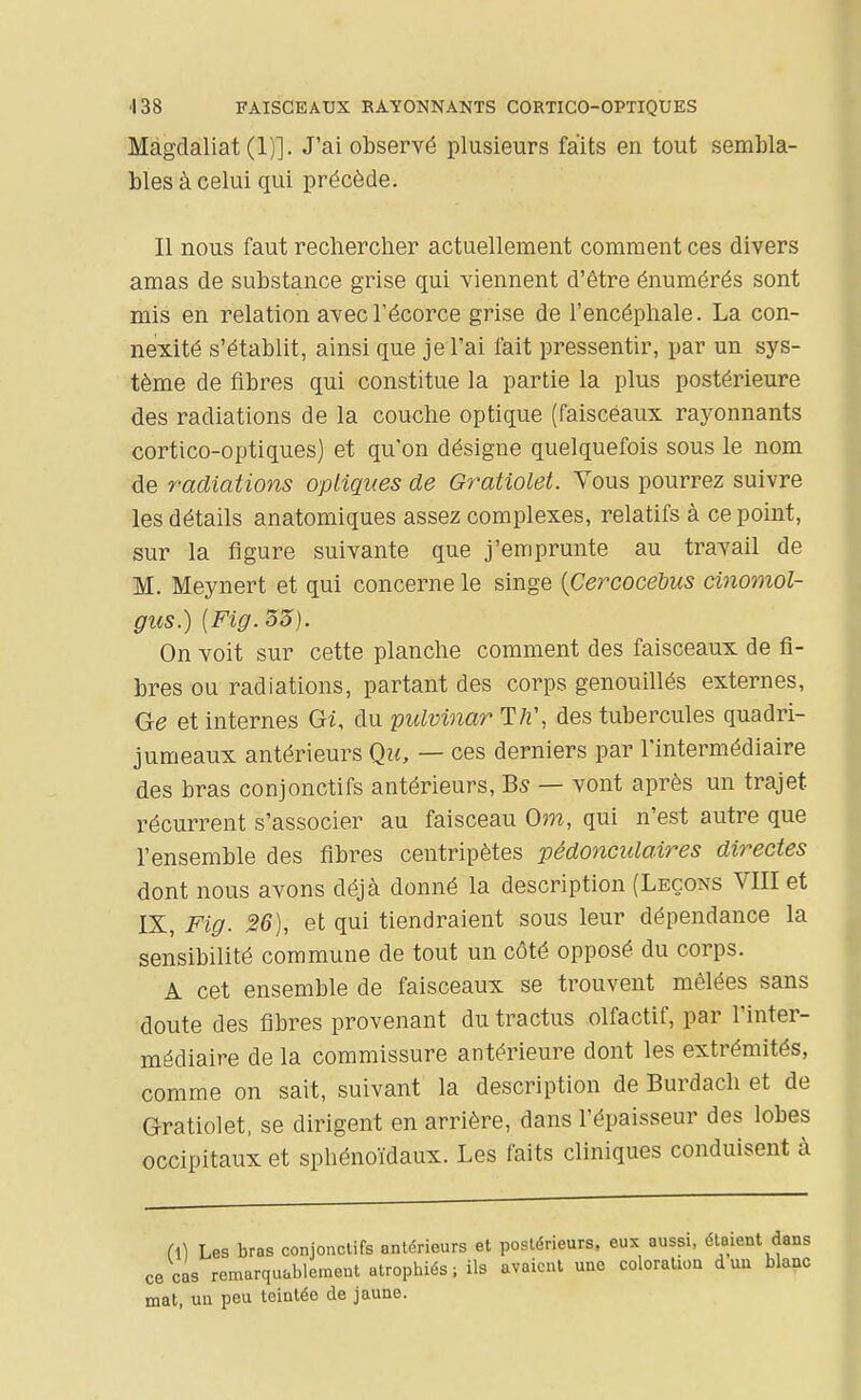 Màgdaliat (1)]. J'ai observé plusieurs faits en tout sembla- Lies à celui qui précède. Il nous faut rechercher actuellement comment ces divers amas de substance grise qui viennent d'être énumérés sont mis en relation avecl'écorce grise de l'encéphale. La con- nexité s'établit, ainsi que je l'ai fait pressentir, par un sys- tème de fibres qui constitue la partie la plus postérieure des radiations de la couche optique (faisceaux rayonnants cortico-optiques) et qu'on désigne quelquefois sous le nom de radiations optiques de Oratiolet. Vous pourrez suivre les détails anatomiques assez complexes, relatifs à ce point, sur la figure suivante que j'emprunte au travail de M. Meynert et qui concerne le singe {Cercocehus cinomol- gus.) {Fig.53). On voit sur cette planche comment des faisceaux de fi- bres ou radiations, partant des corps genouillés externes, Ge et internes Gi, du pulvinar Th\ des tubercules quadri- jumeaux antérieurs Qu, — ces derniers par l'intermédiaire des bras conjonctifs antérieurs, Bs — vont après un trajet récurrent s'associer au faisceau Om, qui n'est autre que l'ensemble des fibres centripètes pédoncidaires directes dont nous avons déjà donné la description (Leçons VIII et IX, Fig. 26), et qui tiendraient sous leur dépendance la sensibilité commune de tout un côté opposé du corps. A cet ensemble de faisceaux se trouvent mêlées sans doute des fibres provenant du tractus olfactif, par l'inter- médiaire de la commissure antérieure dont les extrémités, comme on sait, suivant la description de Burdach et de Gratiolet, se dirigent en arrière, dans l'épaisseur des lobes occipitaux et sphénoïdaux. Les faits cliniques conduisent à (\] Les bras cOBjonctifs antérieurs et postérieurs, eux aussi, étaient dans ce cas remarquablement atrophiés; ils avaient une coloration duu blanc mat, un peu teintée de jaune.