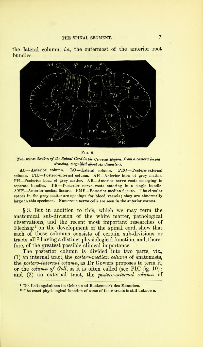 the lateral column, i.e., the outermost of the anterior root bundles. Fig. 9. Transverse Section of the Spinal Cord in the Cervical Region, from a camera lucida drawing, magnified about six diameters. AC—Anterior column. LC — Lateral column. PEC — Postero-external column. PIC—Postero-internal column. AH—Anterior horn of grey matter. PH—Posterior horn of grey matter. AR—Anterior nerve roots emerging in separate bundles. PR — Posterior nerve roots entering in a single bundle AMF—Anterior median fissure. PMF—Posterior median fissure. The circular spaces in the grey matter are openings for blood vessels; they are abnormally large in this specimen. Numerous nerve cells are seen in the anterior cornua. § 3. But in addition to this, which we may term the anatomical sub-division of the white matter, pathological observations, and the recent most important researches of Flechsig1 on the development of the spinal cord, show that each of these columns consists of certain sub-divisions or tracts, all2 having a distinct physiological function, and, there- fore, of the greatest possible clinical importance. The posterior column is divided into two parts, viz., (1) an internal tract, the postero-median column of anatomists, the postero-internal column, as Dr Gowers proposes to term it, or the column of Goll, as it is often called (see PIC fig. 10); and (2) an external tract, the postero-external column of Die Leitungsbahnen im Gehirn und Riickenmark des Menschen. The exact physiological function of some of these tracts is still unknown.