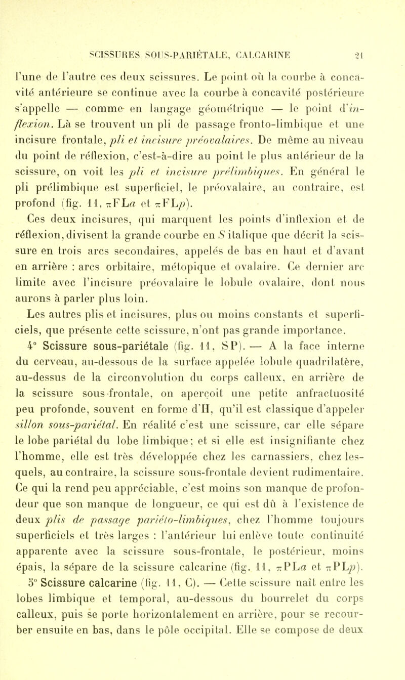 Tune de I'autre ces deux scissures. Le point on la courbe a conca- vite anterieure se continne avec la courbe a concavile posterieure s'appelle — comme en langage geometrique — le point d'i?i- /lexion. La se trouvent un pli de passage fronto-limbi(jue et une incisure frontale, pli et incisure ])reovalaires. De meme an niveau du point de reflexion, c'est-a-dire an point le plus anterieur de la scissure, on voit les et incisure prelimhiques. P]n general le pli prelimbique est superficiel, le preovalaire, an contraire, est profond (fig. 11, 11?ha et izYhp). Ces deux incisures, qui marquent les points d'intlexion et de reflexion, divisent la grande courbe en S italiqne que decrit la scis- sure en trois arcs secondaires, appeles de bas en haut et d'avant en arriere : arcs orbitaire, metopique et oval aire. Ce dernier arc limite avec I'incisnre preovalaire le lobule ovalaire, dont nous aurons a parler plus loin. Les autres plis et incisures, plus on moins constants et superli- ciels, que presente celte scissure, n'ont pas grande importance. 4^ Scissure sous-parietale (fig. 11, SP).— A la face interne du cerveau, au-dessous de la surface appelee lobule quadrilal^re, au-dessus de la circonvolution du corps calleux, en arriere de la scissure sous frontale, on apercoit une petite anfractuosite peu profonde, souvent en forme dll, qu'il est classique d'appeler sillon soiis-parietal. En realite c'est une scissure, car elle separe le lobe parietal du lobe limbique; et si elle est insignifiante cbez rhomme, elle est tres developpee chez les carnassiers, chez les- quels, au contraire, la scissure sous-frontale devient rudimentaire. Ge qui la rend peu appreciable, c'est moins son manque de profon- deur que son manque de longueur, ce qui est du a I'existence de deux plis de passage parielo-limbiqnes^ chez Thomme toujours superliciels et tres larges : Tanterieur lui enleve toute continuite apparente avec la scissure sous-frontale, le posterieur, moins epais, la separe de la scissure calcarine (fig. 11, ttPL^ et 7rPL/>). o* Scissure calcarine (lig. i 1, C). — Cette scissure nait entre les lobes limbique et temporal, au-dessous du bourrelet du corps calleux, puis se porte horizonlalement en arriere, pour se recour- ber ensuite en bas, dans le pole occipital. Elle se compose de deux