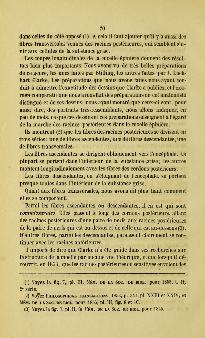 dans celles du cdt6 oppose (1). A cela il faut ajouter qu'il y a aussi des fibres transversales venues des racines posterieures, qui semblent s'u- nir aux cellules de la substance grise. Les coupes longitudinales de la moelle epiniere donnent des resul- tats bien plus importants. Nous avons vu de tres-belles preparations de ce genre, les unes faites par Stilling, les autres faites par J. Lock- hart Clarke. Les preparations que nous avons faites nous ayant con- duit a admettre l'exactitude des dessins que Clarke a publics, et l'exa- men eomparatif que nous avons fait des preparations de cet anatomiste distingue et de ses dessins, nous ayant montre que ceux-ci sont, pour ainsi dire, des portraits tres-ressemblants, nous allons indiquer, en peu de mots, ce que ces dessins et ces preparations enseignent a l'egard de la marche des racines posterieures dans la moelle epiniere. lis montrent (2) que les fibres des racines posterieures se divisent en trois series: une de fibres ascendantes, une de fibres deseendantes, une de fibres transversales. Les fibres ascendantes se dirigent obliquement vers l'encepbale. La plupart se portent dans l'int^rieur de la substance grise; les autres montent longitudinalement avec les fibres des cordons posterieurs. Les fibres deseendantes, en s'eloignant de l'encepbale, se portent presque toutes dans Pint6rieur de la substance grise. Quant aux fibres transversales, nous avons dit plus haut comment elles se comportent. Farmi les fibres ascendantes ou deseendantes, il en est qui sont cotnmissur&les. Elles passent le long des cordons posterieurs, allant des racines posterieures d'une paire de neifs aux racines posterieures de la paire de nerfs qui est au-dessus et de celle qui est au-dessous f3). D'autres fibres, parmi les deseendantes, paraissent clairement se con- tinuer avec les racines anterieures. II importede dire que Clarke n'a 6te guide dans ses recherches sur la structure de la moelle par aucune vue th^orique, et que lorsqu'il de- couvrit,en 1853, que les racines posterieures ou sensitives envoient des (1) Voyez la fig. 7, pi. Ill, Mem. de la Soc.. de biol. ponr 1855, t. Hy 2e serie: (2) Vojez Philosophical transactions, 1853, p. 347, pi. XXTII et XXIV, et Mem. de la Soc. de biol. pour 1855, pi. Ill, fig. 8 et 10. (3) Voyez la fig. 7, pi. II, in Mem. de la Soc. de biol. pour 1855.