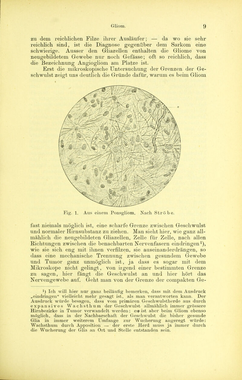 zu dem reichlichen Filze ihrer Auslaufer; — da wo sie sehr reichlich sind, ist die Diagnose gegeniiber dem Sarkom erne schwierige. Ausser den Gliazellen enthalten die Gliome von neugebildetem Gewebe nur noch Gefasse; oft so reichlich, dass die Bezeichnung Angiogliom am Platze ist. Erst die mikroskopische Untersuchung der Grenzen der Ge- schwulst zeigt uns deutlich die Grunde dafur, warum es beim Gliom Fig. 1. Aus einem Ponsgliom. Nach Strobe. fast niemals moglich ist, eine scharfe Grenze zwischen Geschwulst und normaler Hirnsubstanz zu ziehen. Man sieht hier, wie ganz all- mahlich die neugebildeten Gliazellen, Zelle fiir Zelle, nach alien Richtungen zwischen die benachbarten Nervenfasern eindringen1), wie sie sich eng mit ihnen vernlzen, sie auseinanderdrangen, so dass eine mechanische Trennung zwischen gesundem Gewebe und Tumor ganz unmogiich ist, ja dass es sogar mit dem Mikroskope nicht gelingt, von irgend einer bestimmten Grenze zu sagen, hier fangt die Geschwulst an und hier hort das Nervengewebe auf. Geht man von der Grenze der compakten Ge- !) Ich will hier nur ganz beilaufig bemerken, dass mit dem Ausdruck „eindringen vielleicht mehr gesagt ist, als man verantworten kann. Der Ausdruck wiirde besagen, dass vom primaren Geschwulstherde aus durch expansives Wachsthum der Geschwulst allmahlich immer grossere Hirnbezirke in Tumor verwandelt werden; es> ist aber beim Gliom ebenso moglich, dass in der Nachbarschaft der Geschwulst die bisher gesunde Glia in immer weiterem Umfange zur Wucherung angeregt wiirde: Wachsthum durch Apposition — der erste Herd muss ja immer durch die Wucherung der Glia an Ort und Stelle entstanden sein.