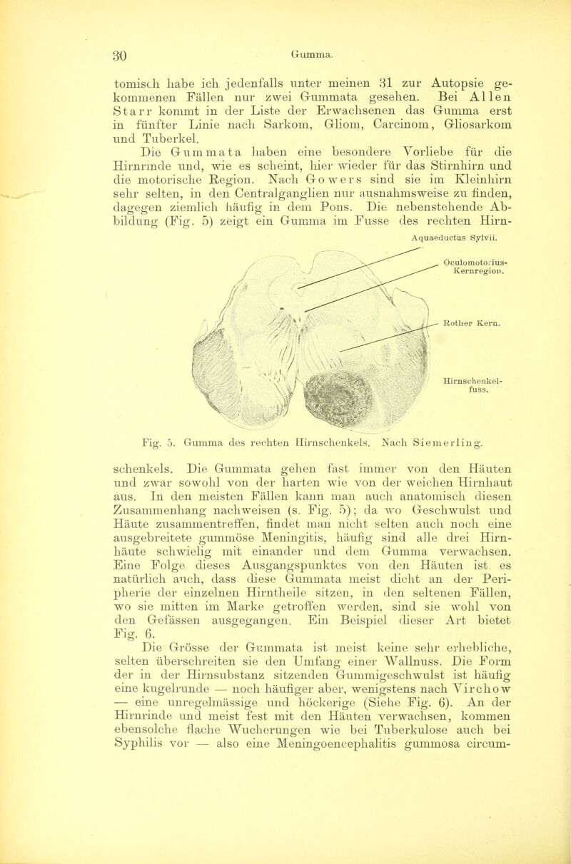 tomisch habe ich jedenfalls unter meinen 31 zur Auto p sie ge- kommenen Fallen nur zwei Gummata gesehen. Bei Allen Starr kommt in der Liste der Erwachsenen das Gumma erst in ftinfter Linie nach Sarkom, Gliom, Carcinom, Gliosarkom und Tuberkel. Die Gum mat a haben eine besondere Vorliebe fur die Hirnrmde unci, wie es scheint, hier wieder fur das Stirnhirn und die motorische Region. Nach Gowers sind sie im Kleinhirn sehr selten, in den Centralganglien nur ausnahmsweise zu finden, dagegen ziemlich haufig in dem Pons. Die nebenstehende Ab- bildung (Fig. 5) zeigt ein Gumma im Fusse des rechten Hirn- Aquaeductus Sylvii. Oculomotorius- Kernregion. Rother Kern. Hirnschenkel- fuss. Fig. 5. Gumma des rechten Hirnschenkels. Nach Si em er ling. schenkels. Die Gummata gehen fast immer von den Hauten und zwar sowohl von der harten wie von der weichen Hirnhaut aus. In den meisten Fallen kann man audi anatomisch diesen Zusammenhang nachweisen (s. Fig. 5); da wo Geschwulst und Haute zusammentreffen, fmdet man nicht selten auch noch eine ausgebreitete gummose Meningitis, haufig sind alle drei Hirn- haute schwielig mit einander und dem Gumma verwachsen. Eine Folge dieses Ausgangspunktes von den Hauten ist es naturlich auch, dass diese Gummata meist dicht an der Peri- pherie der einzelnen Hirntheile sitzen, in den seltenen Fallen, wo sie mitten im Marke getroffen werdert, sind sie wohl von den Gefassen ausgegangen. Ein Beispiel dieser Art bietet Fig. 6. Die Grosse der Gummata ist meist keine sehr erhebliche, selten iiberschreiten sie den Umfang einer Wallnuss. Die Form der in der Hirnsubstanz sitzenden Gummigeschwulst ist haufig eine kugelrunde — noch haufiger aber, wenigstens nach Virchow — eine unregelmassige und hockerige (Siehe Fig. 6). An der Hirnrinde und meist fest mit den Hauten verwachsen, kommen ebensolche flache Wucherungen wie bei Tuberkulose auch bei Syphilis vor — also eine Meningoencephalitis gummosa circum-