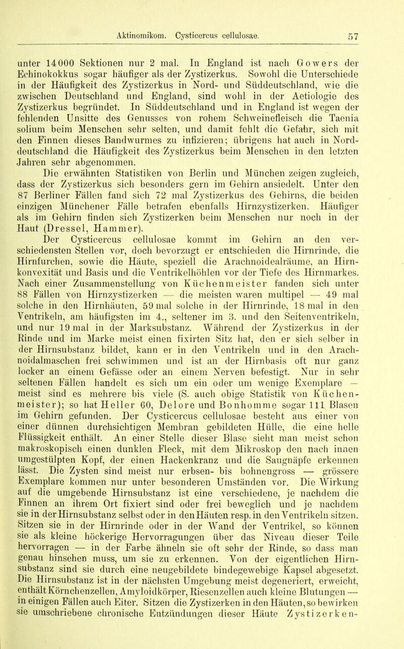 unter 14000 Sektionen nur 2 mal. In England ist nach Gowers der Echinokokkus sogar haufiger als der Zystizerkus. Sowohl die Unterschiede in der Haufigkeit des Zystizerkus in Nord- nnd Siiddeutschland, wie die zwischen Deutschland nnd England, sind wohl in der Aetiologie des Zystizerkus begrundet. In Siiddeutschland und in England ist wegen der fehlenden Unsitte des Genusses von rohem Schweinefleisch die Taenia solium beim Menschen sehr selten, und damit fehlt die Gefahr, sich mit den Finnen dieses Bandwurmes zu infizieren; iibrigens hat aucb in Nord- deutschland die Haufigkeit des Zystizerkus beim Menschen in den letzten Jahren sehr abgenommen. Die erwahnten Statistiken von Berlin und Miinchen zeigen zugleich, dass der Zystizerkus sich besonders gern im Gehirn ansiedelt. Unter den 87 Berliner Fallen fand sich 72 mal Zystizerkus des Gehirns, die beiden einzigen Miinchener Falle betrafen ebenfalls Hirnzystizerken. Haufiger als im Gehirn finden sich Zystizerken beim Menschen nur noch in der Haut (Dressel, Hammer). Der Cysticercus cellulosae kommt im Gehirn an den ver- schiedensten Stellen vor, doch bevorzugt er entschieden die Hirnrinde, die Hirnfurcben, sowie die Haute, speziell die Arachnoidealraume, an Hirn- konvexitat und Basis und die Ventrikelhohlen vor der Tiefe cles Hirnmarkes. Nach einer Zusammenstellung von Kiic henmeister fanden sich unter 88 Fallen von Hirnzystizerken — die meisten waren multipel — 49 mal solche in den Hirnhauten, 59 mal solche in der Hirnrinde, 18 mal in den Ventrikeln, am haufigsten im 4., seltener im 3. und den Seitenventrikeln, und nur 19 mal in der Marksubstanz. Wahrend der Zystizerkus in der Rinde und im Marke meist einen fixirten Sitz hat, den er sich selber in der Hirnsubstanz bildet, kann er in den Yentrikeln und in den Arach- noidalmaschen frei schwimmen und ist an der Hirnbasis oft nur ganz locker an einem Gefasse oder an einem Nerven befestigt. Nur in sehr seltenen Fallen handelt es sich urn ein oder urn wenige Exemplare — meist sind es mehrere bis viele (S. auch obige Statistik von Kiic hen- meister); so hat Heller 60, Delore und Bonhomme sogar 111 Blasen im Gehirn gefunden. Der Cysticercus cellulosae besteht aus einer von einer diinnen durchsichtigen Membran gebildeten Hiille, die eine belle Fliissigkeit enthalt. An einer Stelle dieser Blase sieht man meist schon makroskopisch einen dunklen Fleck, mit dem Mikroskop den nach innen umgestulpten Kopf, der einen Hackenkranz und die Saugnapfe erkennen lasst. Die Zysten sind meist nur erbsen- bis bohnengross — grossere Exemplare kommen nur unter besonderen Umstanden vor. Die Wirkung auf die umgebende Hirnsubstanz ist eine verschiedene, je nachdem die Finnen an ihrem Ort fixiert sind oder frei beweglich und je nachdem sie in der Hirnsubstanz selbst oder in denHauten resp.in den Yentrikeln sitzen. Sitzen sie in der Hirnrinde oder in der Wand der Yentrikel, so konnen sie als kleine hockerige Hervorragungen iiber das Niveau dieser Teile hervorragen — in der Farbe ahneln sie oft sehr der Rinde, so dass man genau hinsehen muss, urn sie zu erkennen. Yon der eigentlichen Hirn- substanz sind sie durch eine neugebildete bindegewebige Kapsel abgesetzt. Die Hirnsubstanz ist in der nachsten Umgebung meist degeneriert, erweicht, enthalt Kornchenzellen, Amyloidkorper, Riesenzellen audi kleine Blutungen — in einigen Fallen auch Eiter. Sitzen die Zystizerken in den Hauten,so bewirken sie umschriebene chronische Entziindungen dieser Haute Zystizerken-